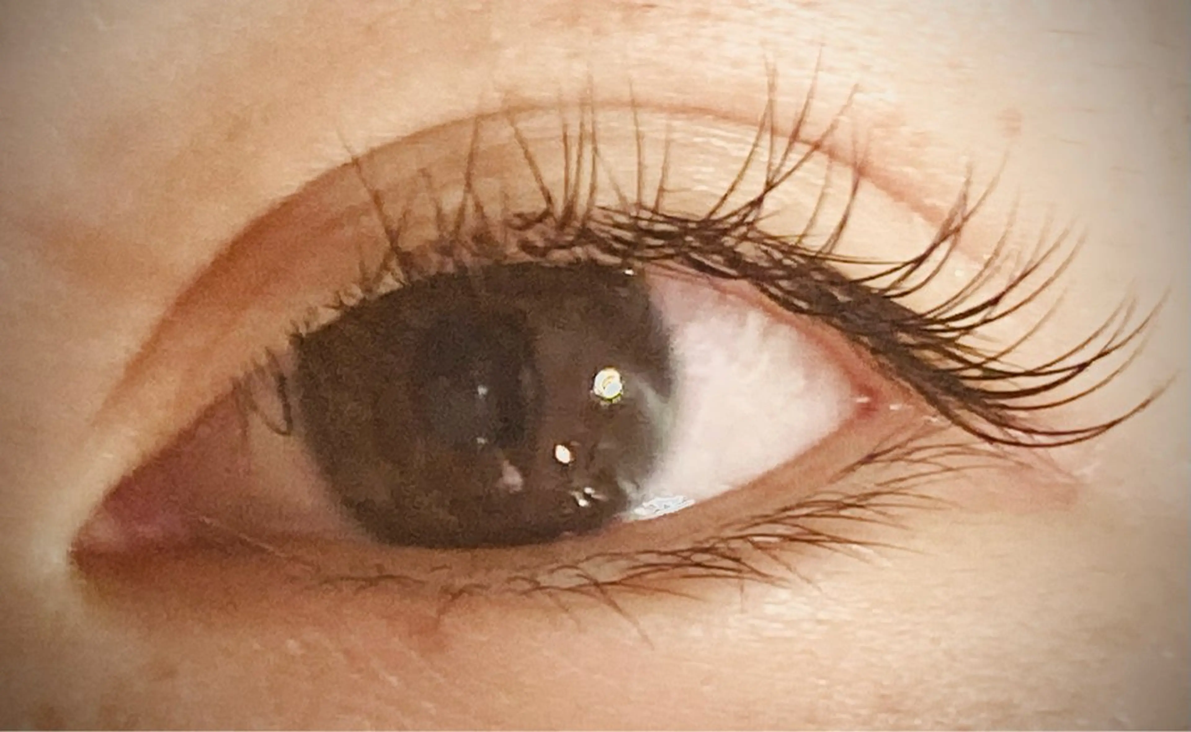 マツエク・マツパ フラットラッシュ M y lash 緑井店　宮本のマツエク・マツパデザイン