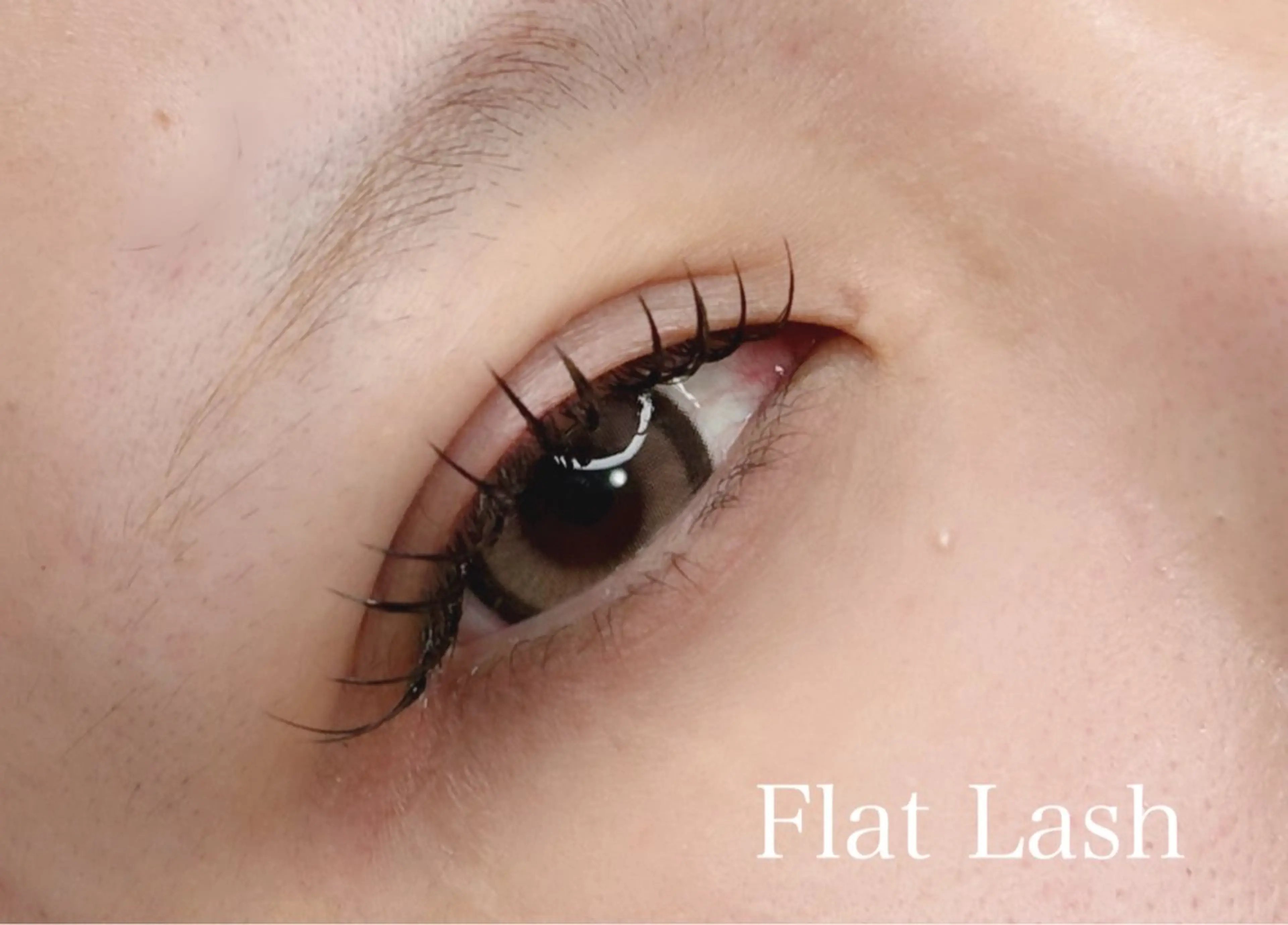 マツエク・マツパ フラットラッシュ ナチュラル Masui Mizuki♡のマツエク・マツパデザイン