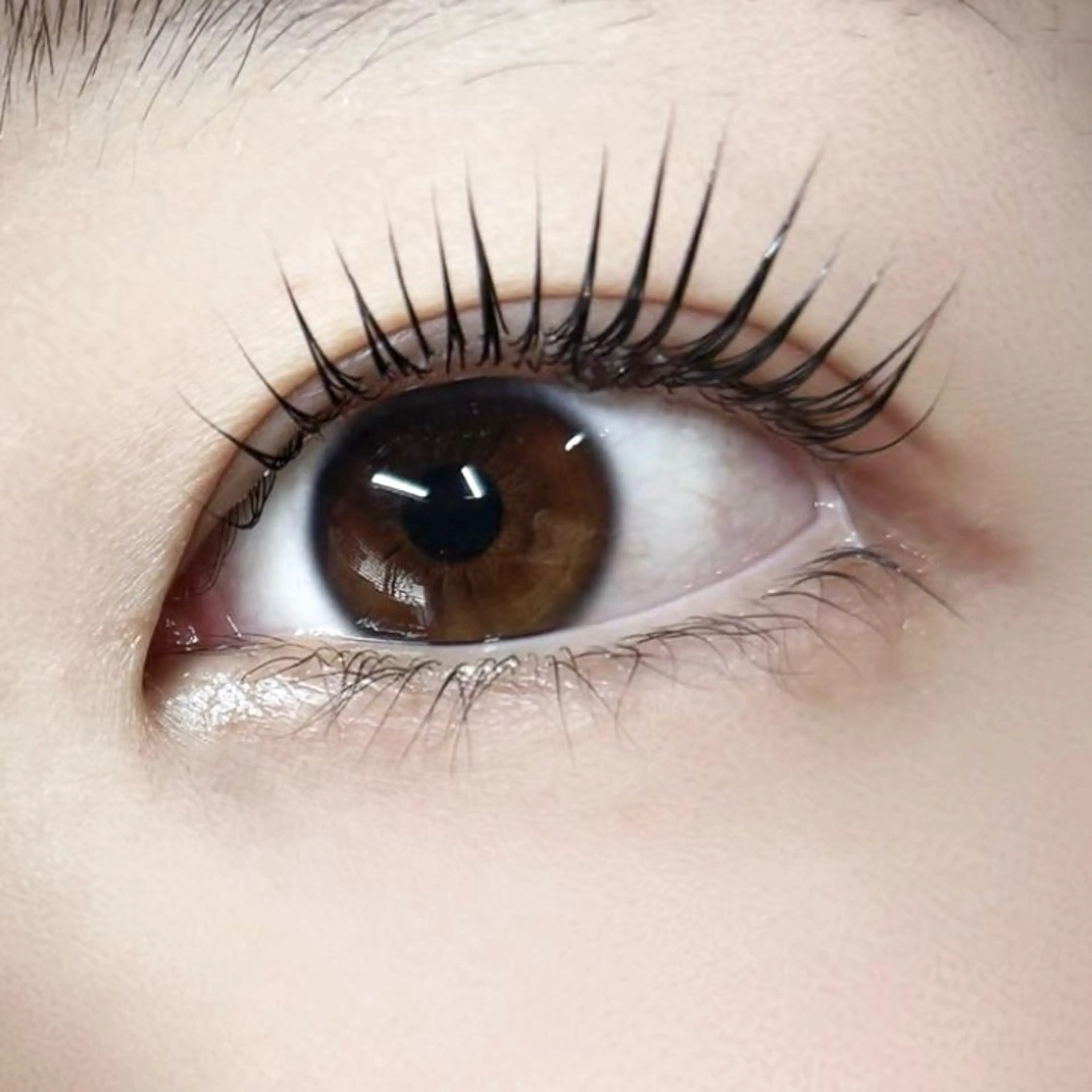 マツエク・マツパ 21日🈳似合わせ まつ毛&眉毛🎀柏村のマツエク・マツパデザイン