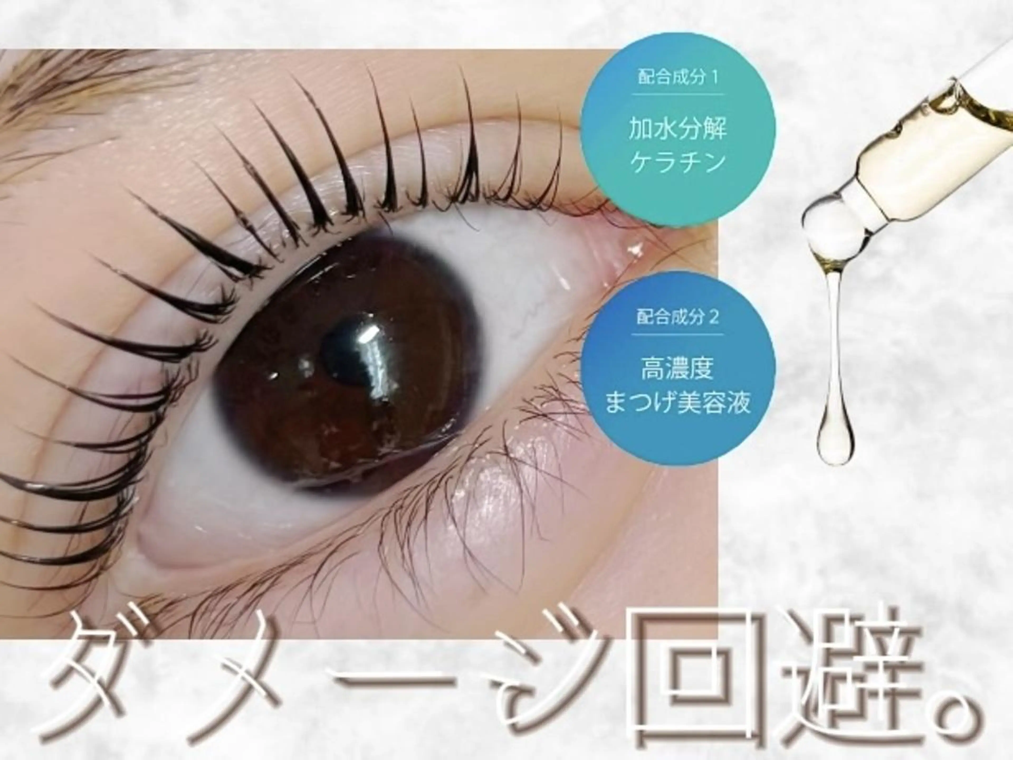 まつ毛補修🌿‬ケラチンラッシュリフト(パリジェンヌ＋500円)【研修モデル】の写真