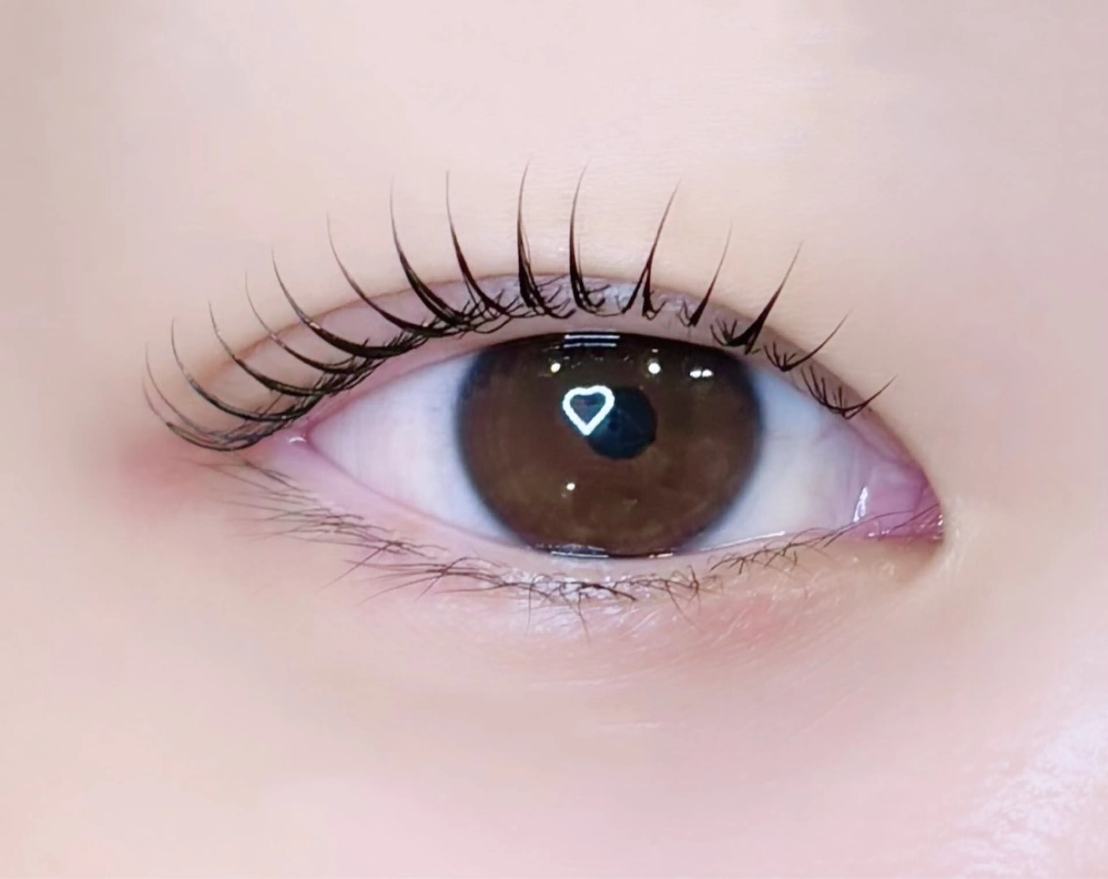 ꒰ 💡当日限定💡 ꒱ 似合わせまつげパーマ💎❣️（+500でパリジェンヌ・次世代ラッシュリフト変更🌟）の写真