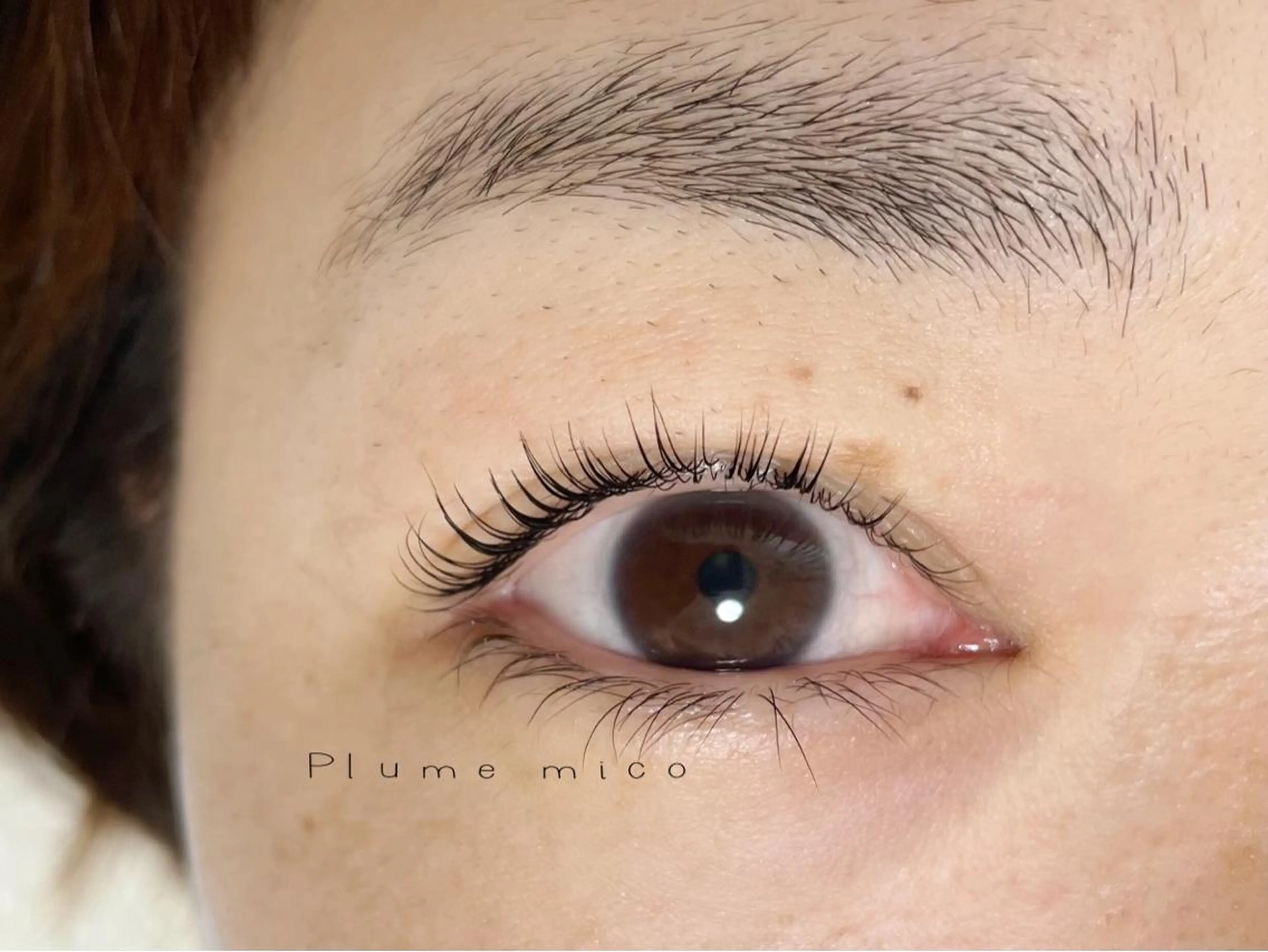 マツエク・マツパ マツパ Plume micoのマツエク・マツパデザイン