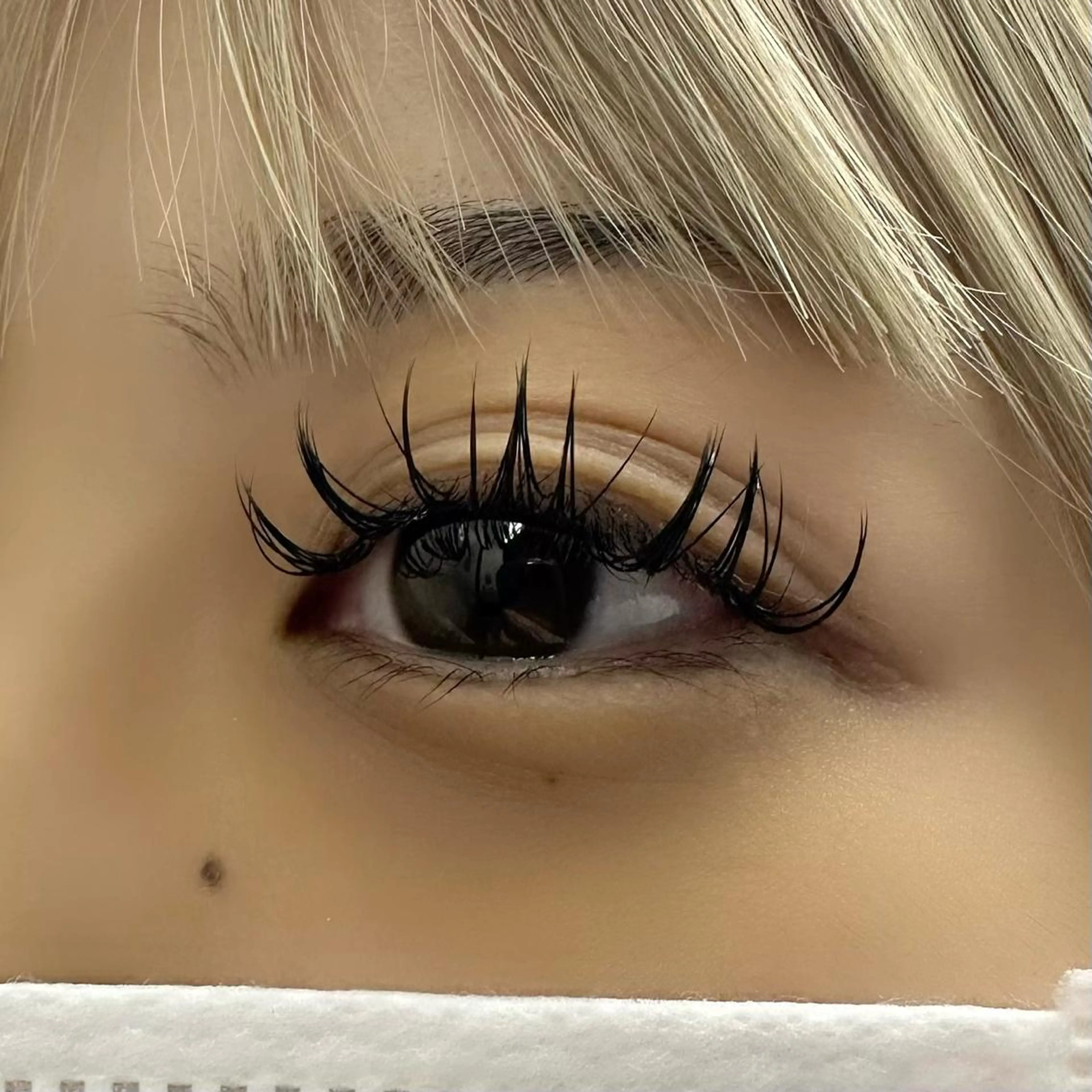 マツエク・マツパ Dカール フラットラッシュ Miyu🦄ash メンズカット/まつげのヘアスタイル