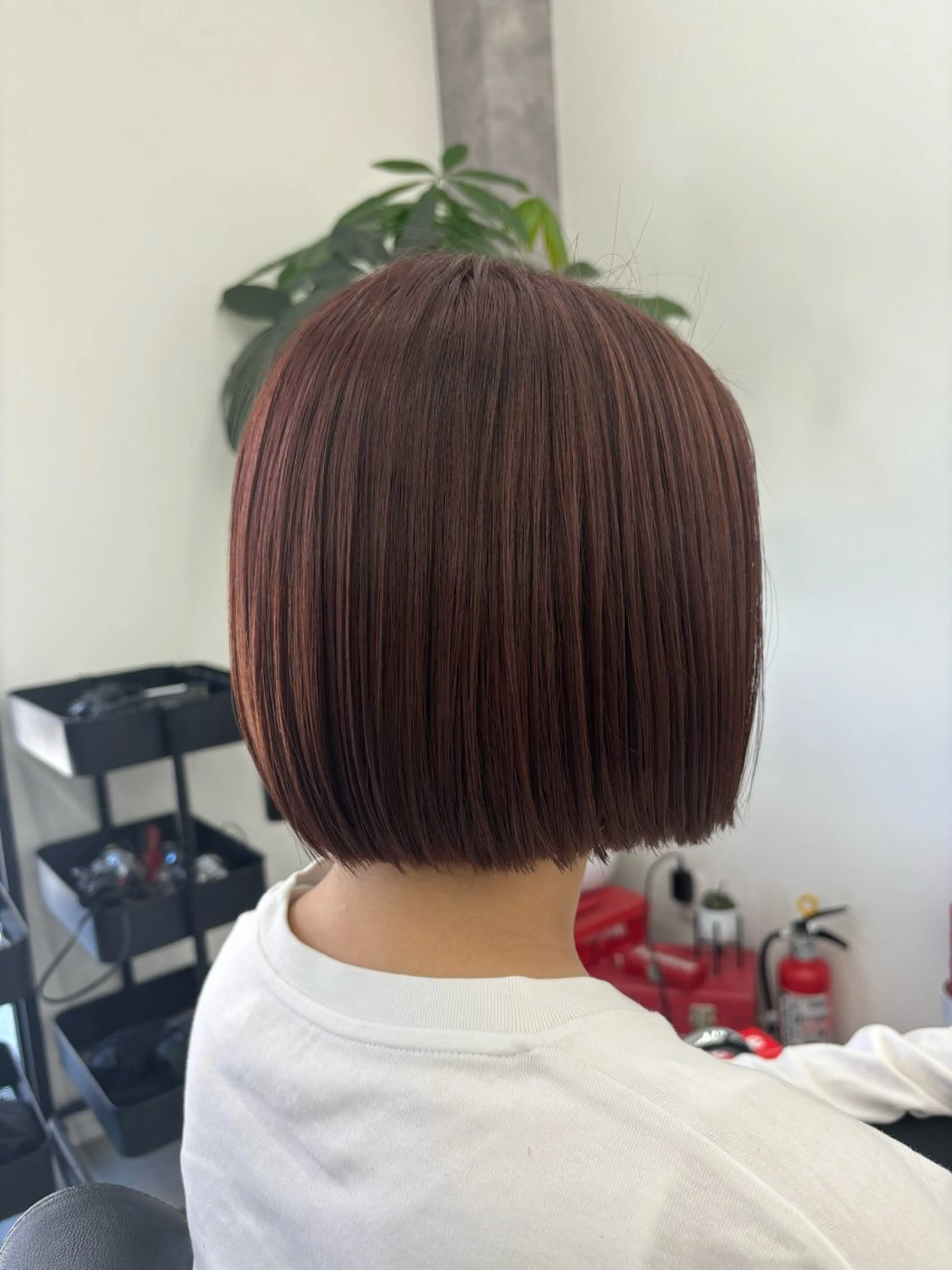 【2回目以降クーポン】カットのみの写真