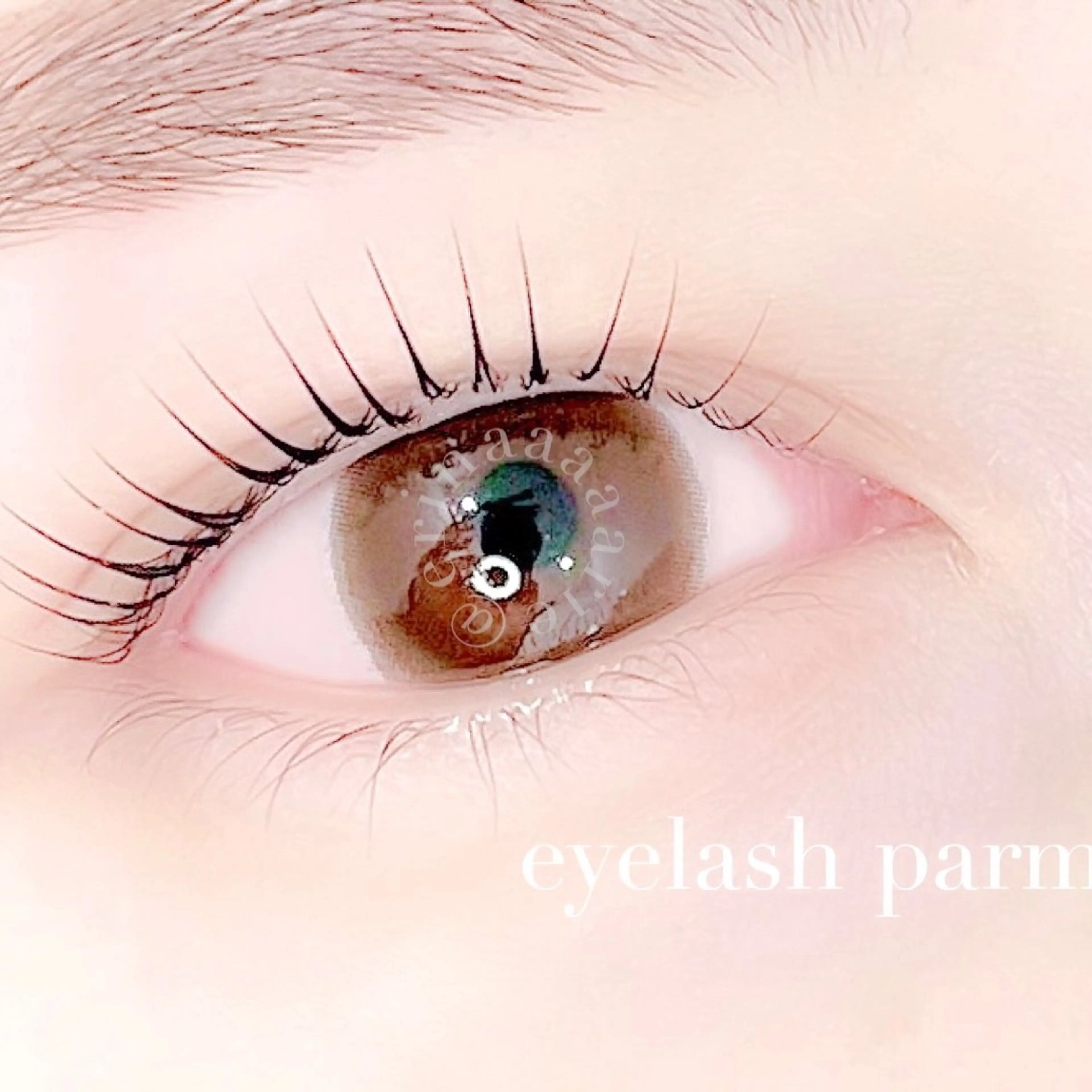 マツエク・マツパ パリジェンヌラッシュリフト Largo🌿 明治神宮前／表参道のマツエク・マツパデザイン