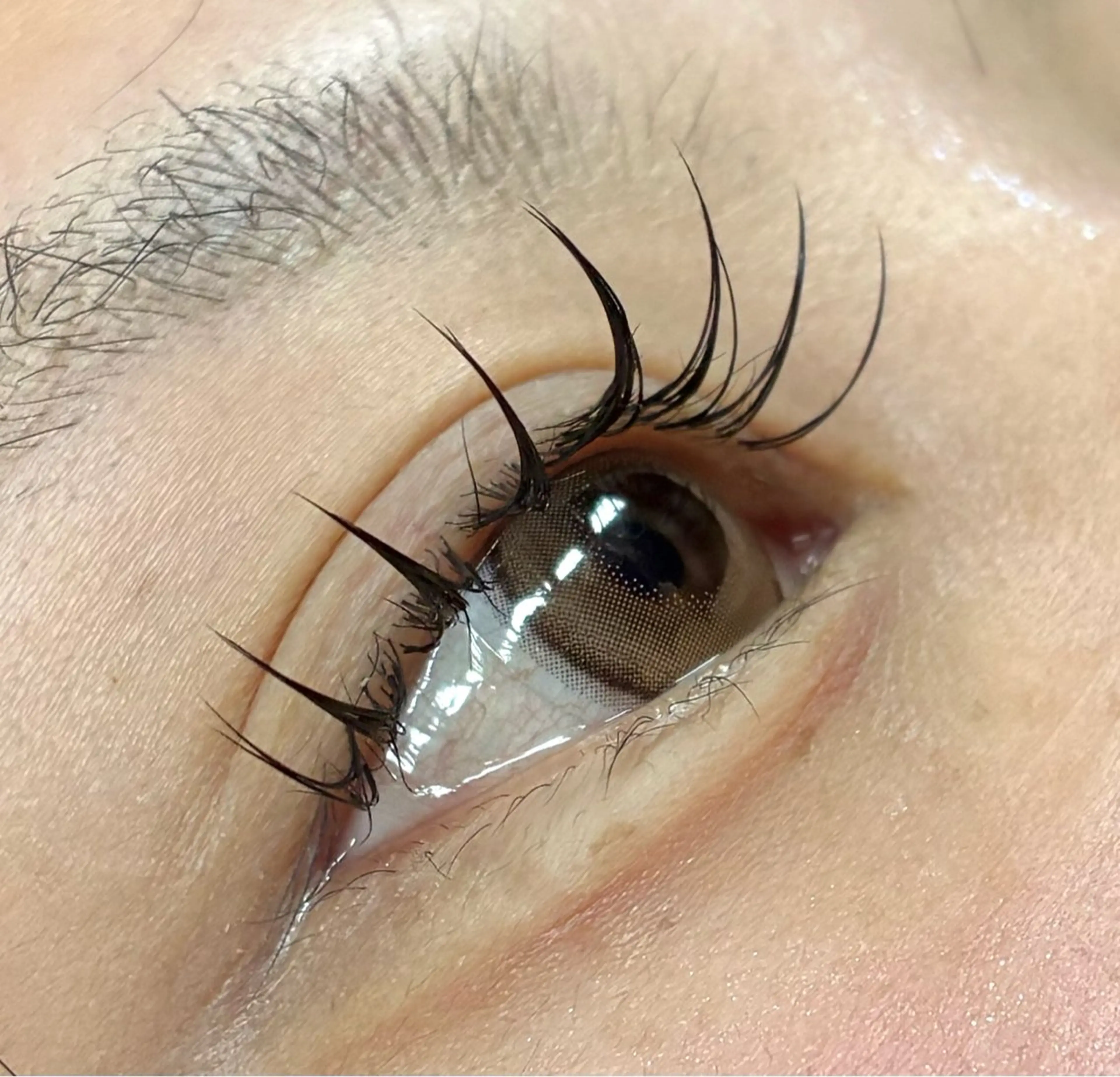 👑全員クーポン👑まつ毛エクステ100本🌟オフ込み🙆の写真