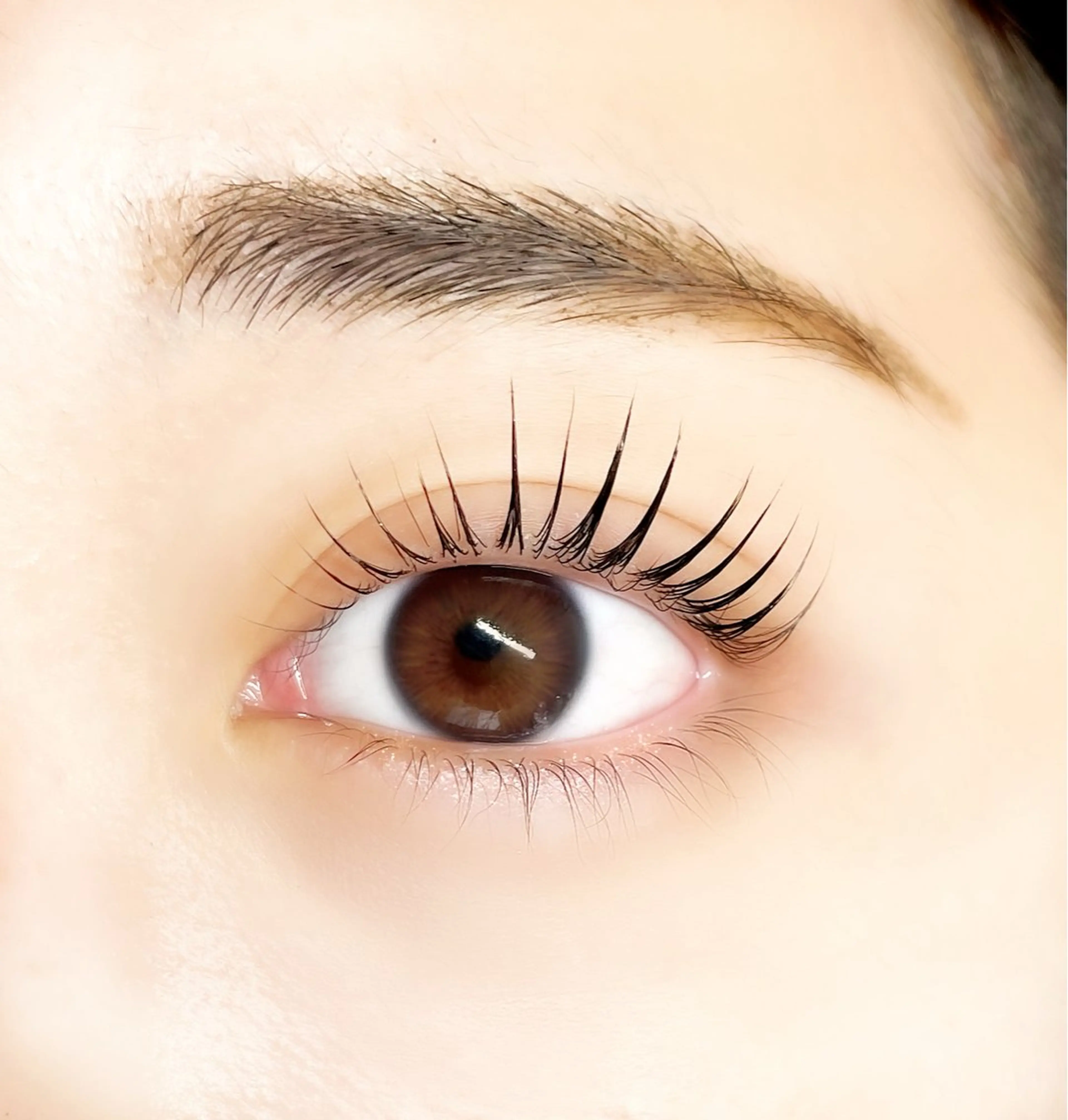 マツエク・マツパ Emile【エミール】所属・Emile 【エミール】のマツエク・マツパデザイン