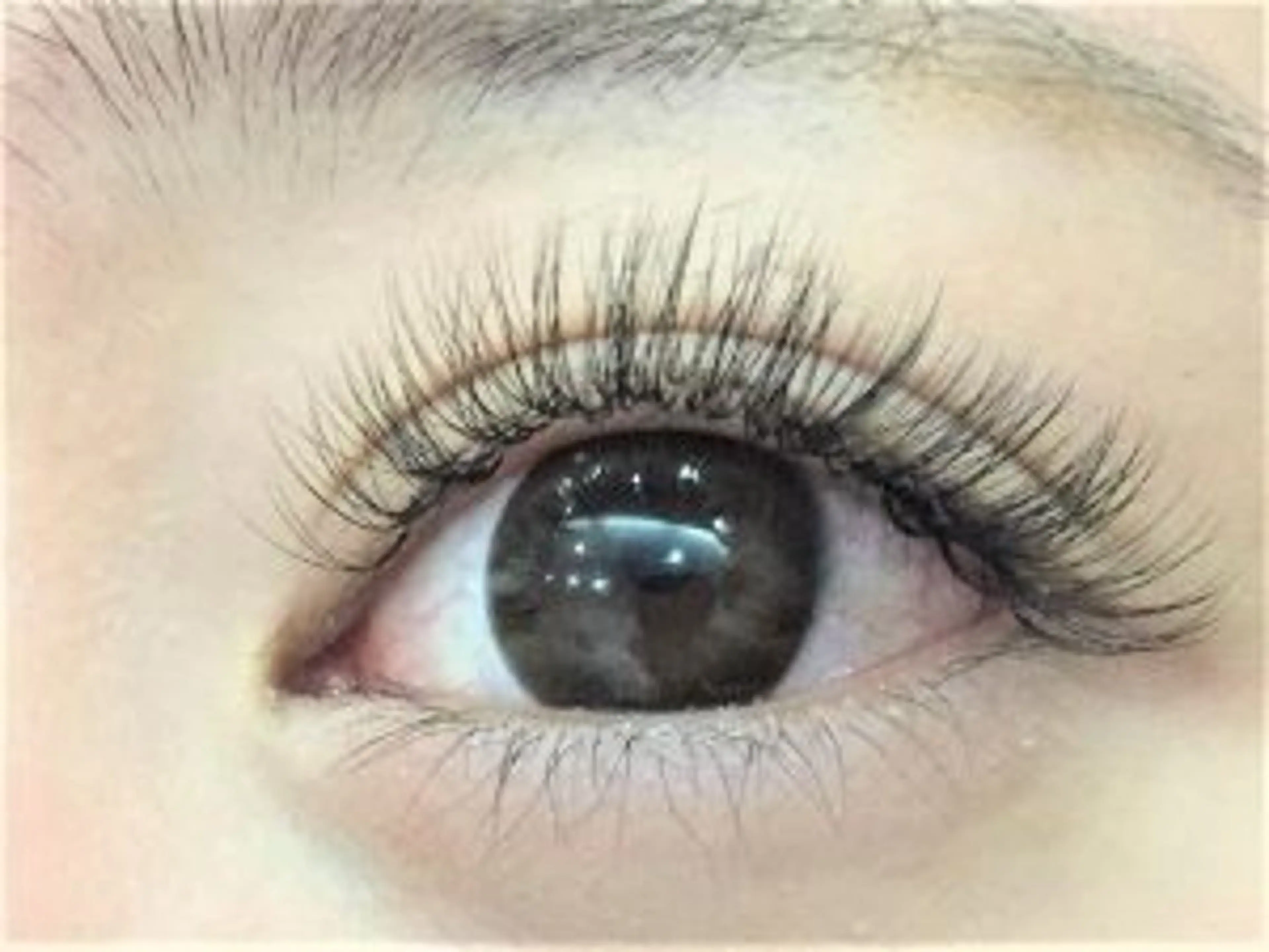 ボリュームラッシュ300本の写真