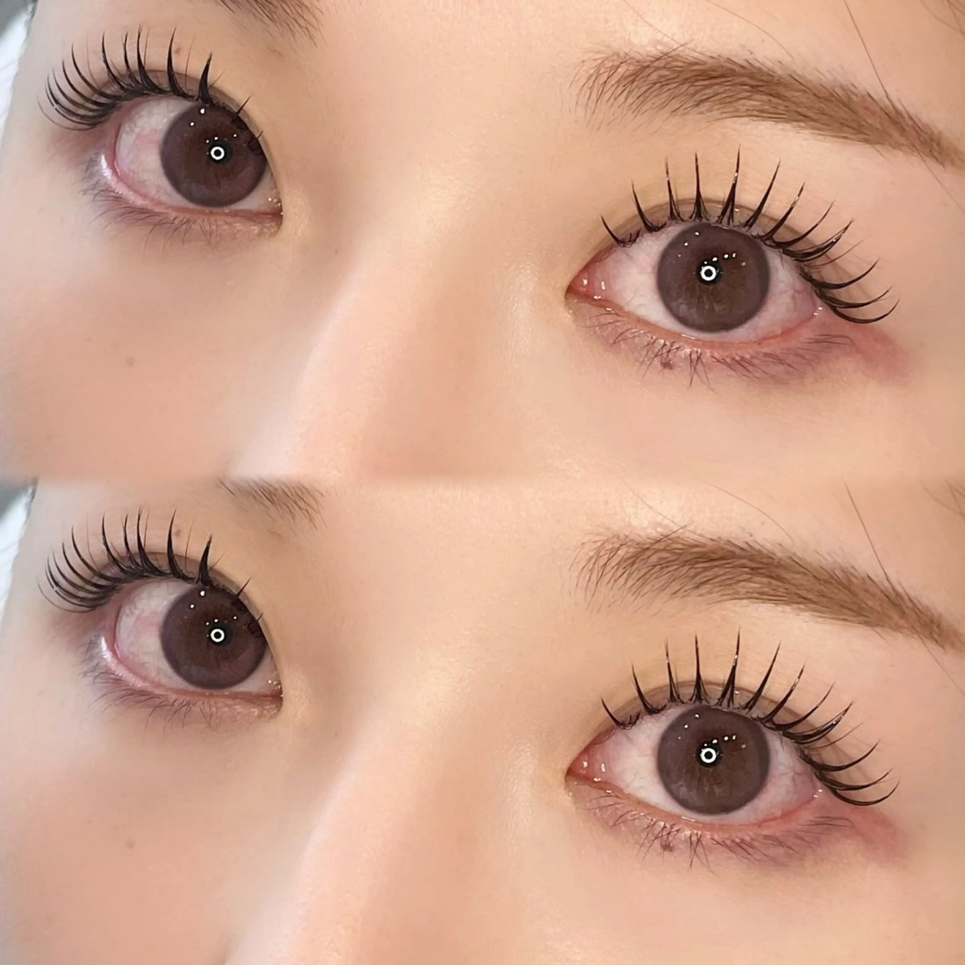 🌼フラットラッシュLEDエクステ100本＋&Healthy🌼¥15,300→¥11,960の写真