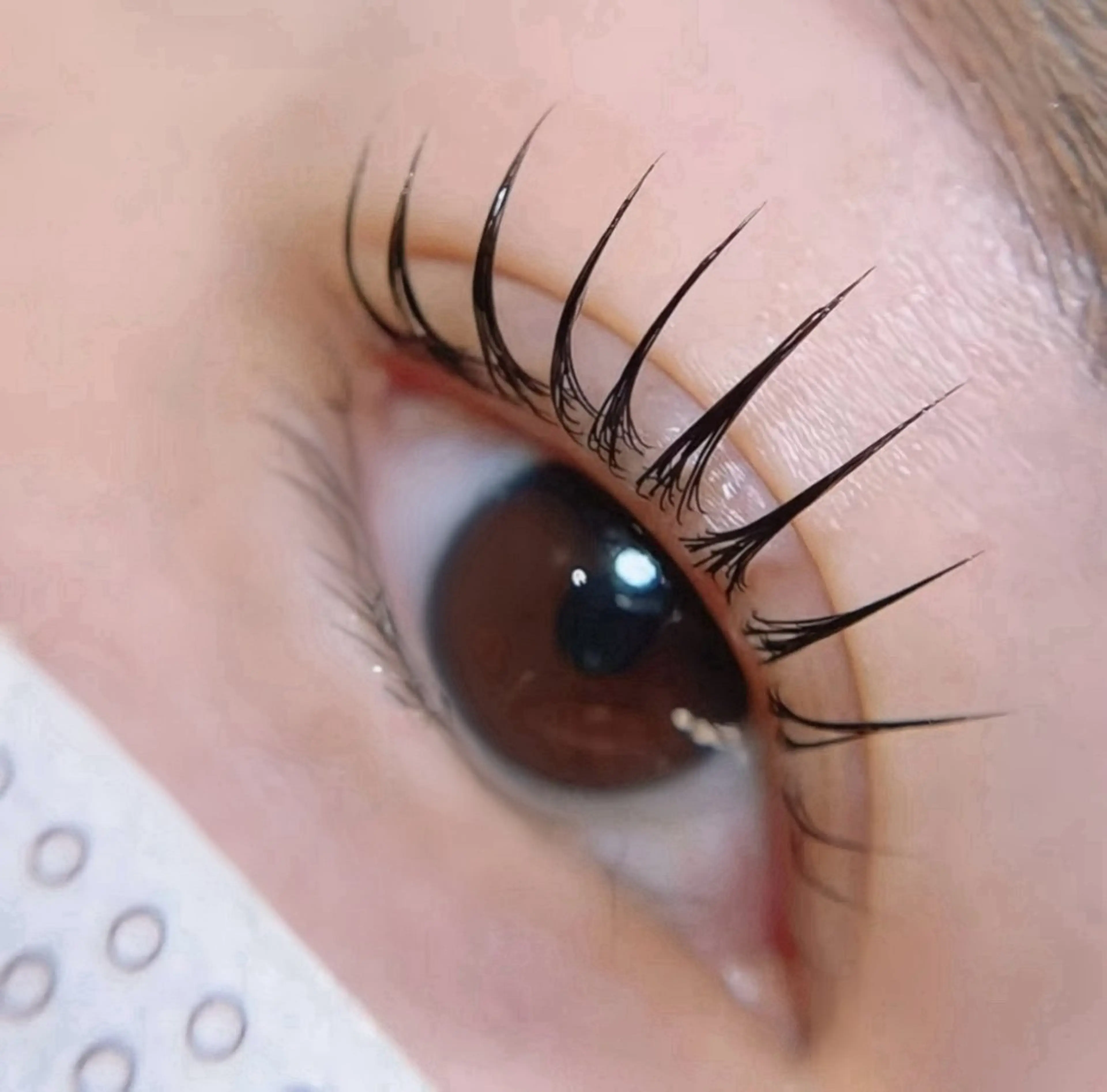 新規限定ラッシュリフト★まつげパーマ上のみ¥3980★美容トリートメント付き★ 【17時以降/土日祝日+330円】の写真