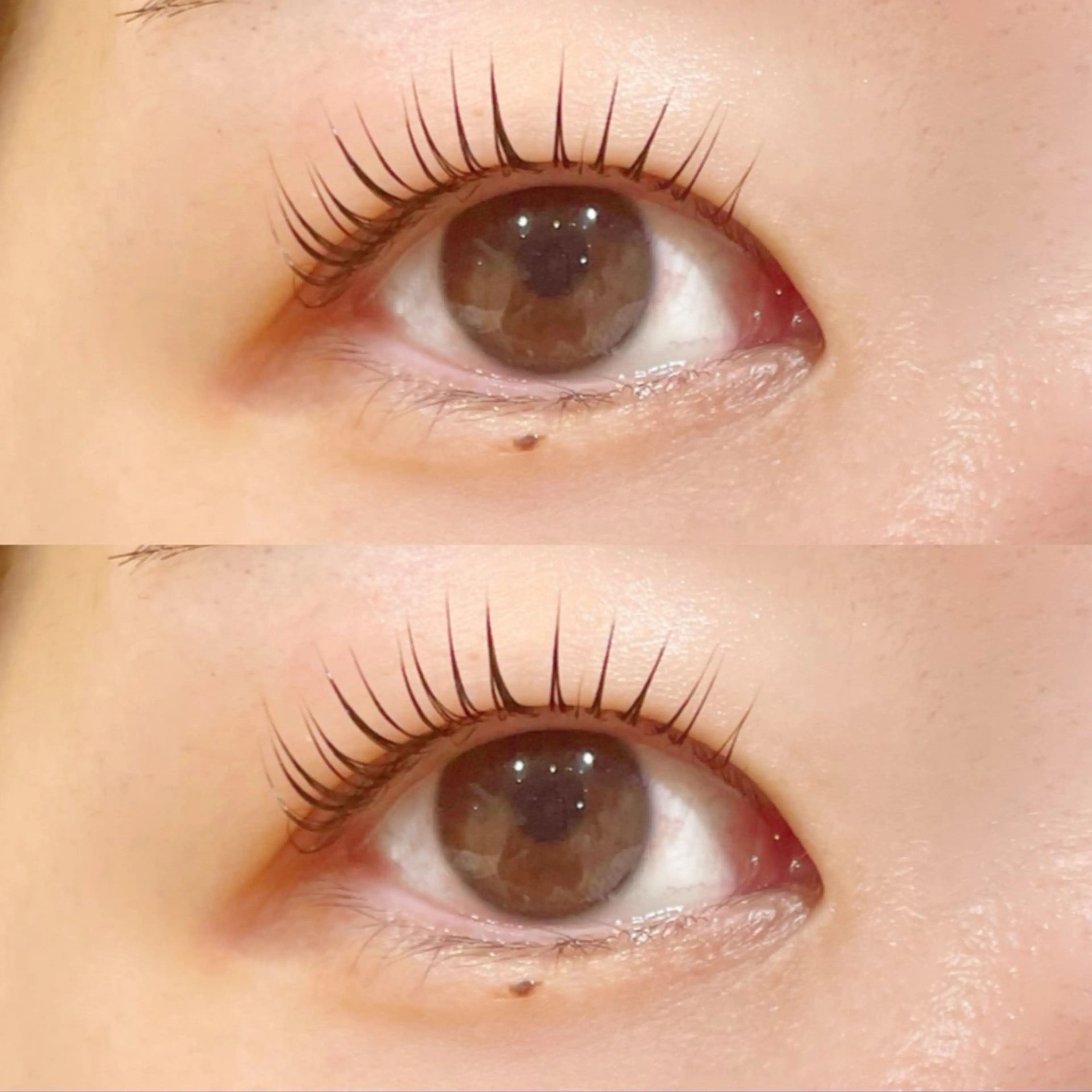 🦋パリジェンヌラッシュリフトorラッシュリフト¥5980🦋の写真