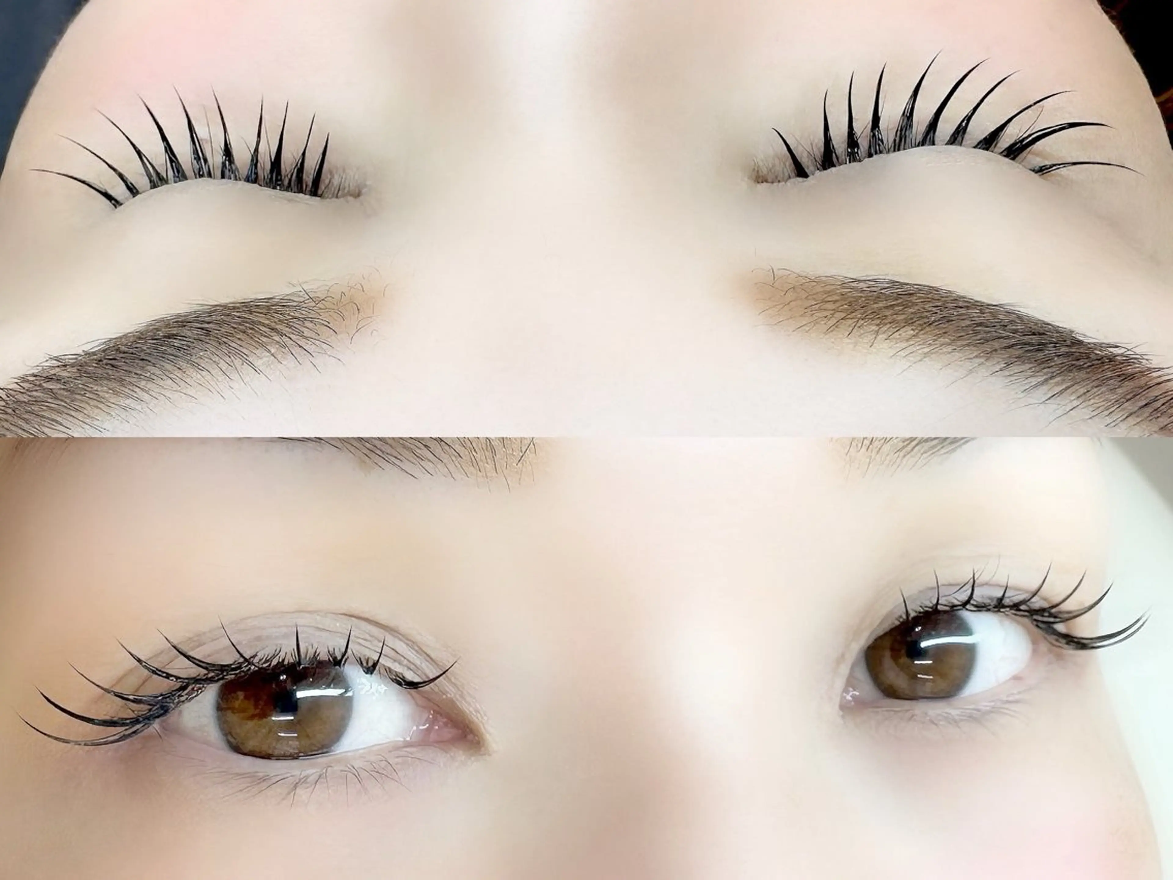 🧡新規🧡フラットマットラッシュ120本 🧡オフ込み❣️の写真