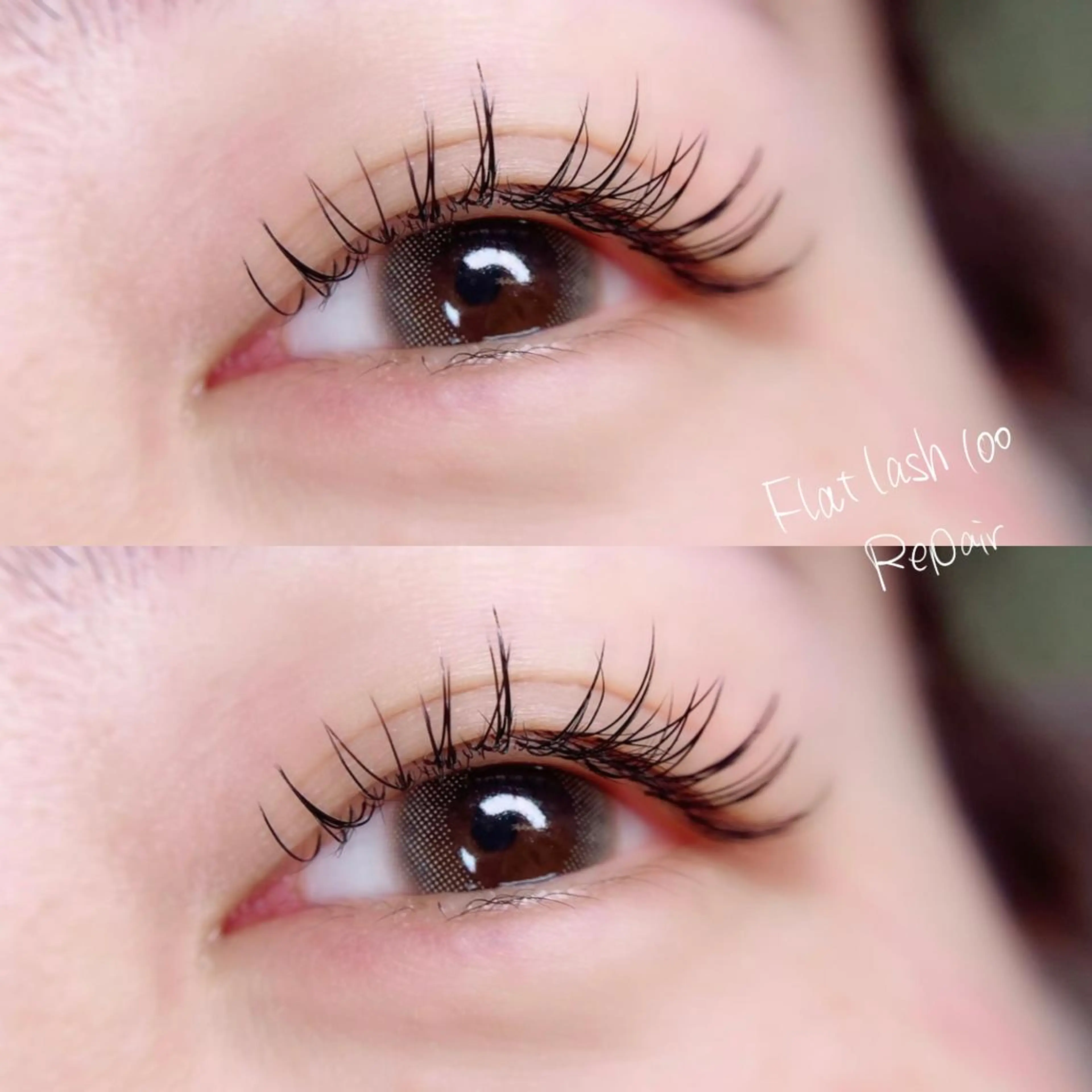 マツエク・マツパ Ohata Megumiの眉毛・アイブロウイメージ