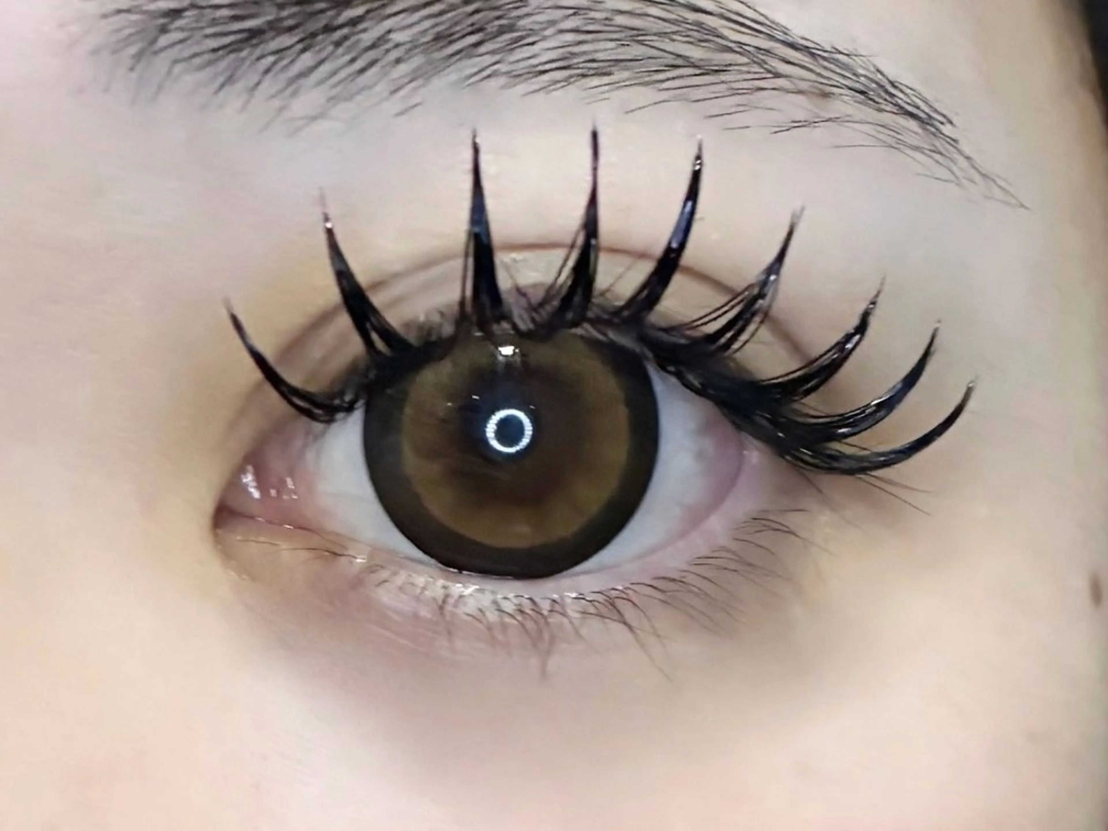 マツエク・マツパ マツエク LEDエクステ専門店 Fedis 京橋のマツエク・マツパデザイン