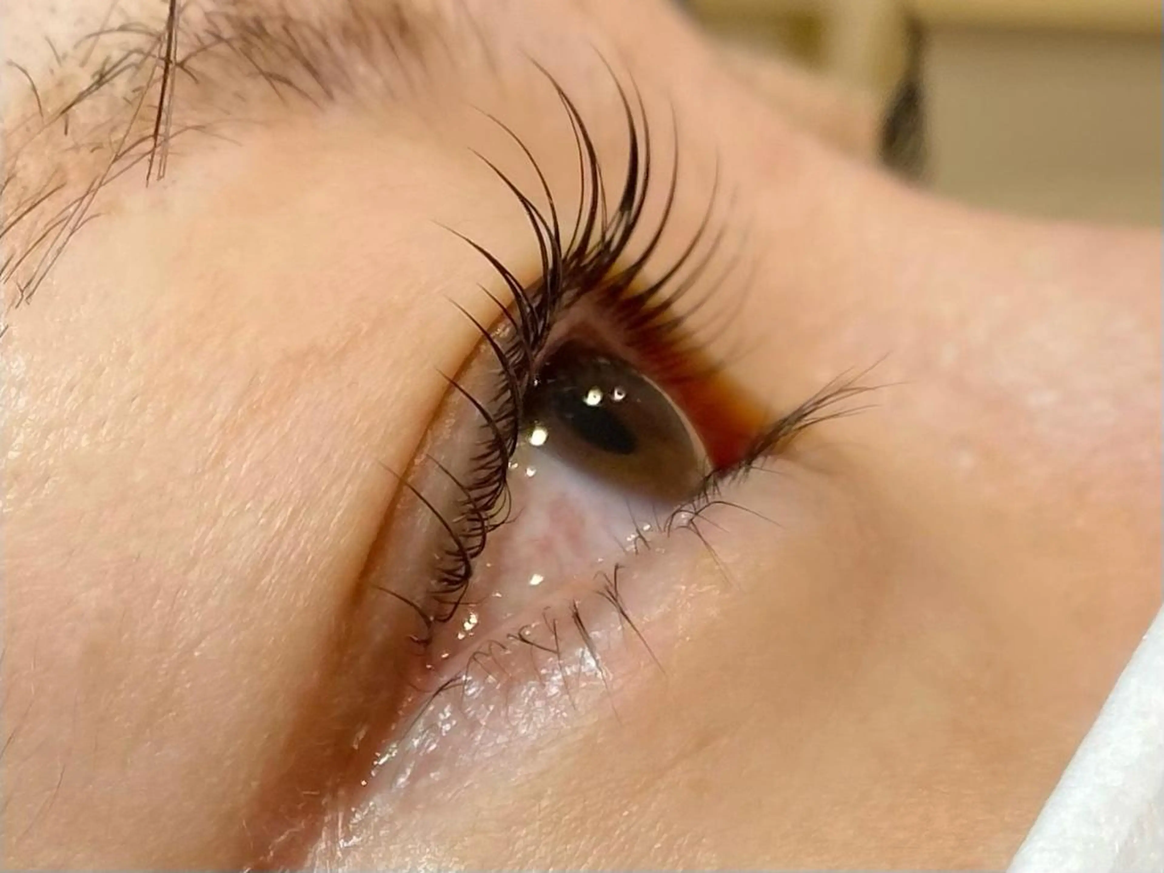 マツエク・マツパ まつげパーマ MiLua 🌙✨のマツエク・マツパデザイン