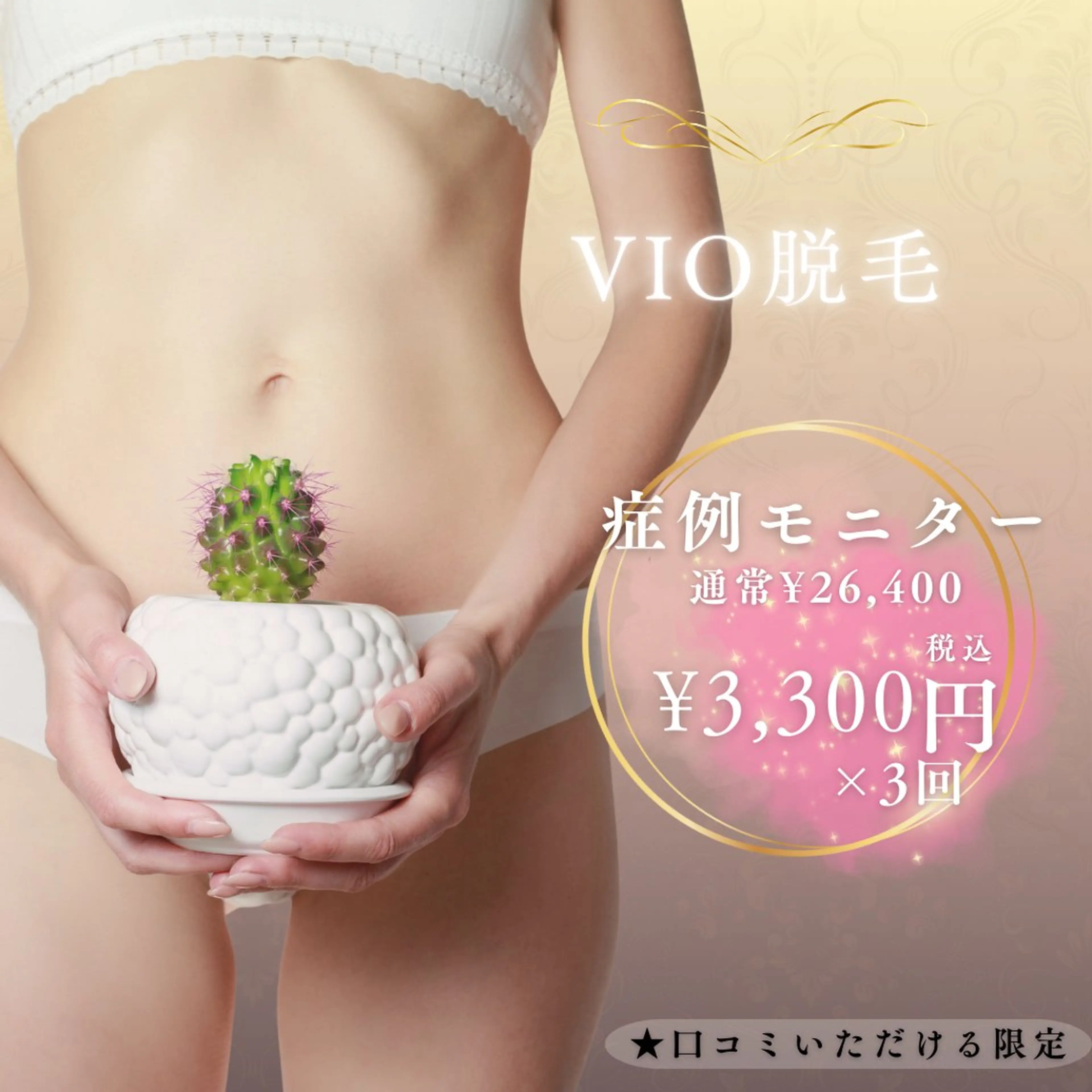 【先着10名】症例モニター/VIO脱毛3回体験/通常¥8,800×¥3,300×3回🉐の写真