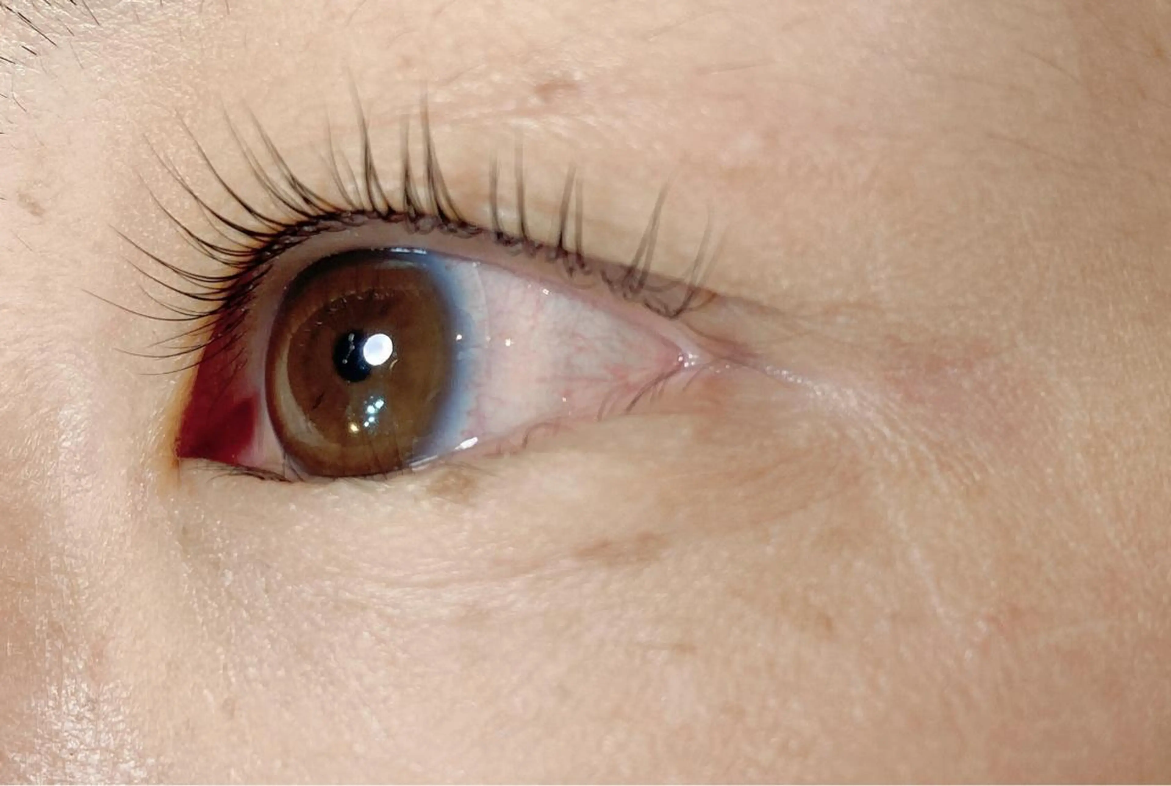 マツエク・マツパ ケラチンラッシュリフト .ula 𝑨𝒚𝒂𝒌𝒂のマツエク・マツパデザイン