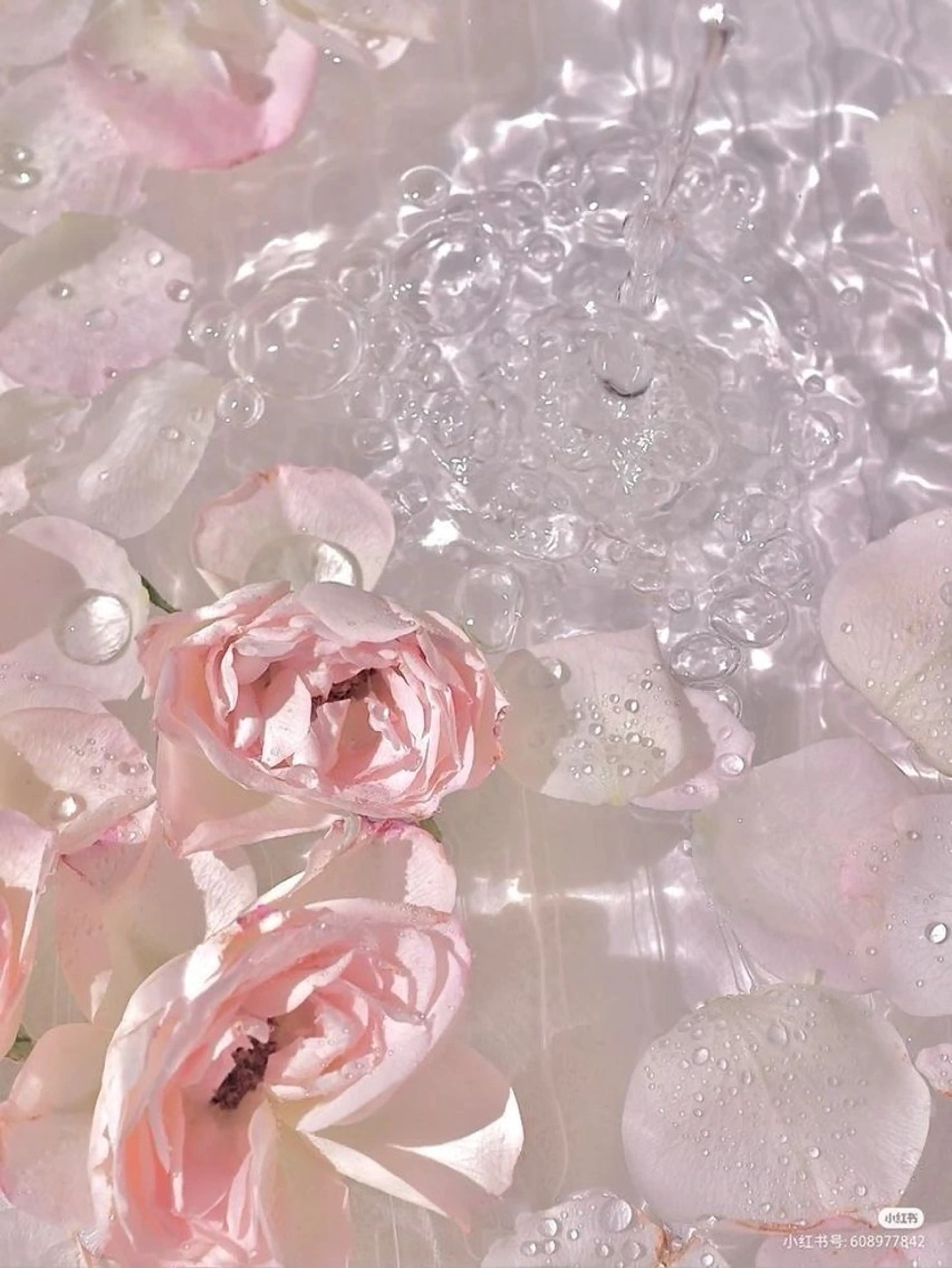 マツエク・マツパ 上村ひかる🫧束感 パリエク/マツパのマツエク・マツパデザイン