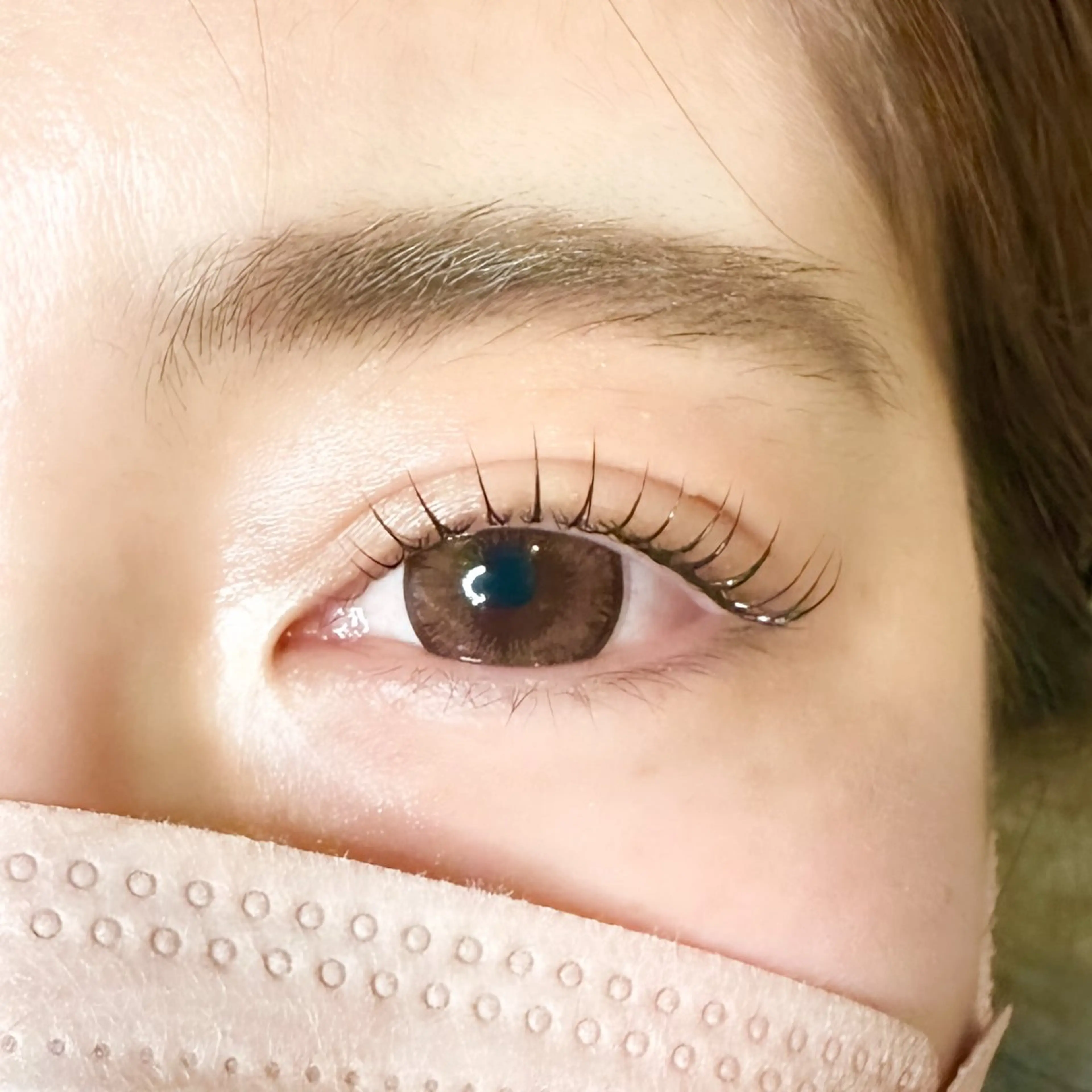 上下まつ毛パーマのモデル募集中🪿🍃【10:00】【12:00】を選択ください！の写真