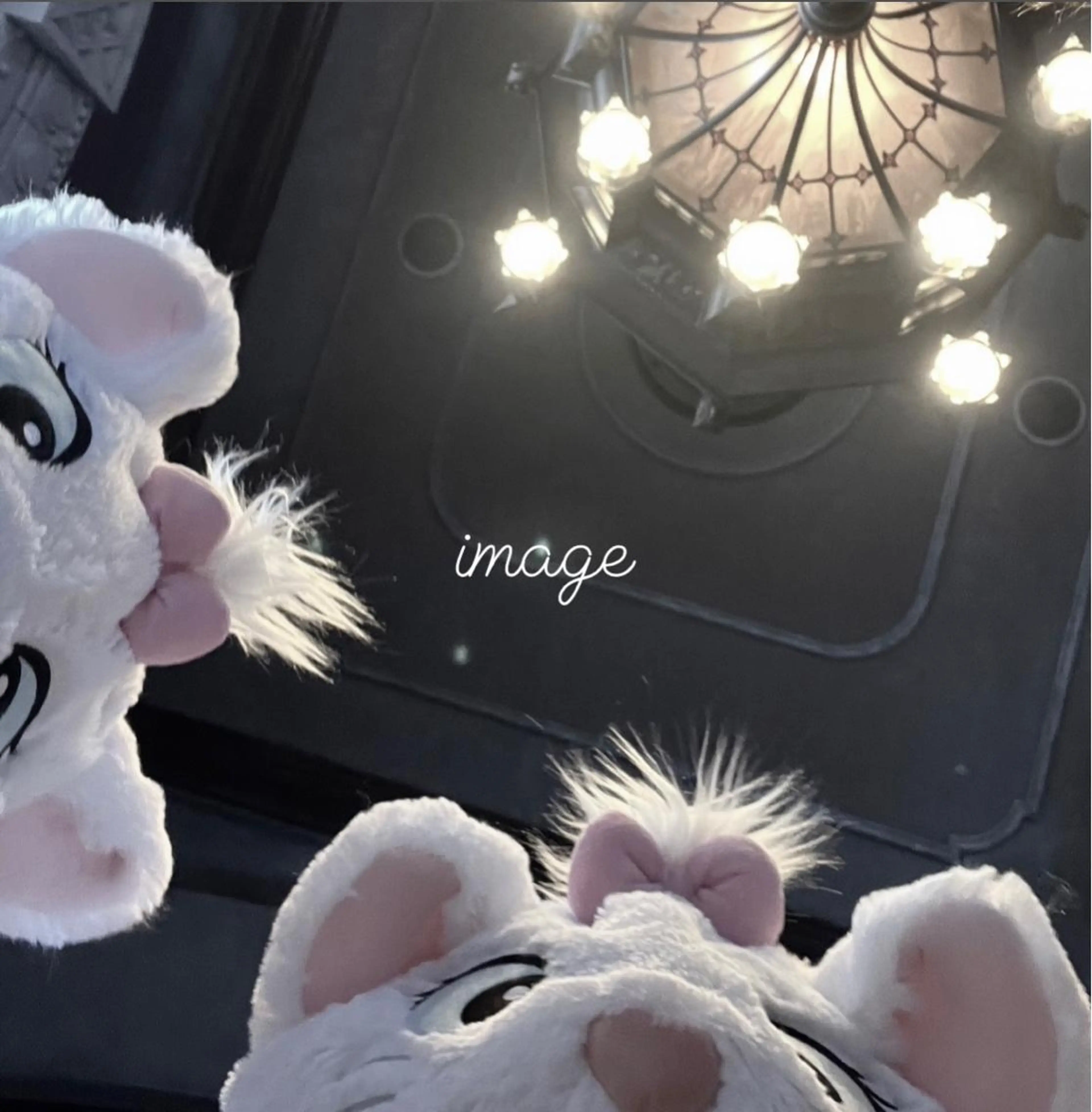 松本｜似合わせ眉 ×まつげパーマ×ヘアの眉毛・アイブロウイメージ