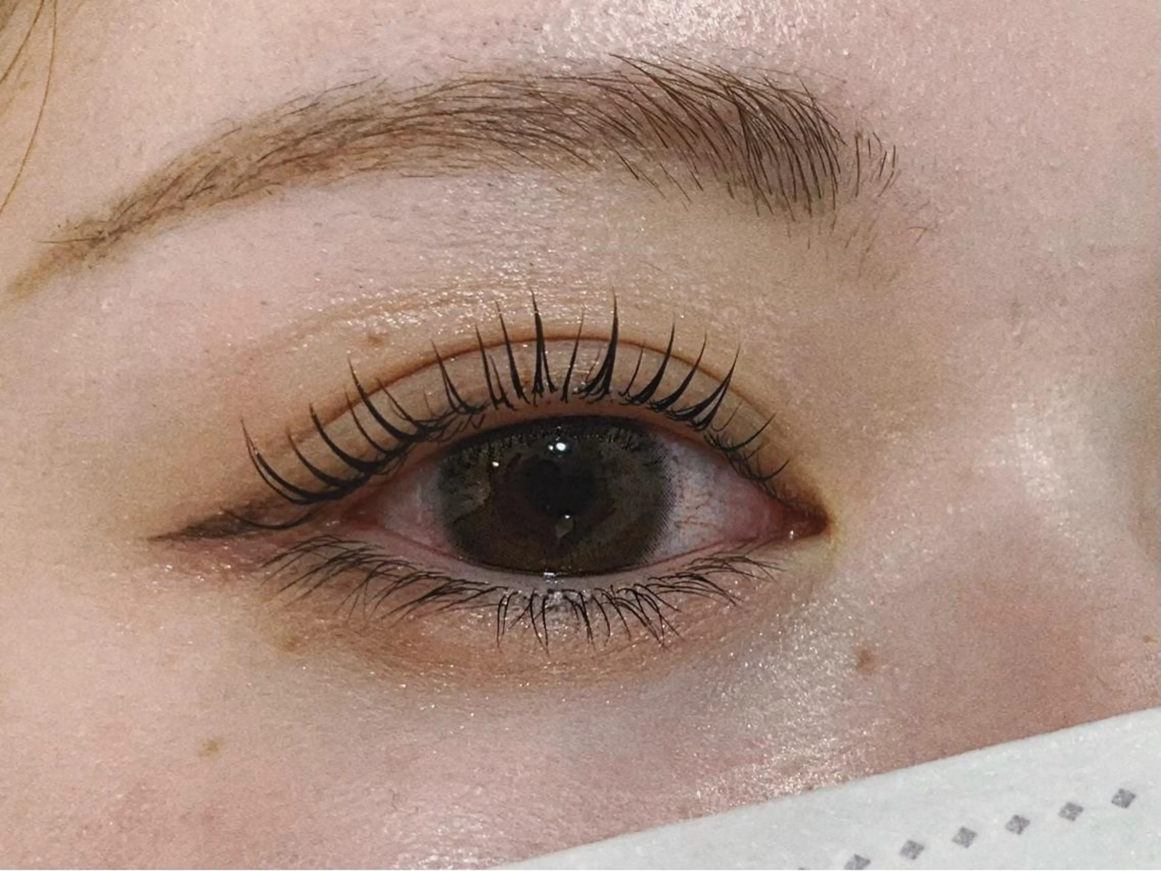 パーマ Aranasalon 池袋店のマツエク・マツパデザイン