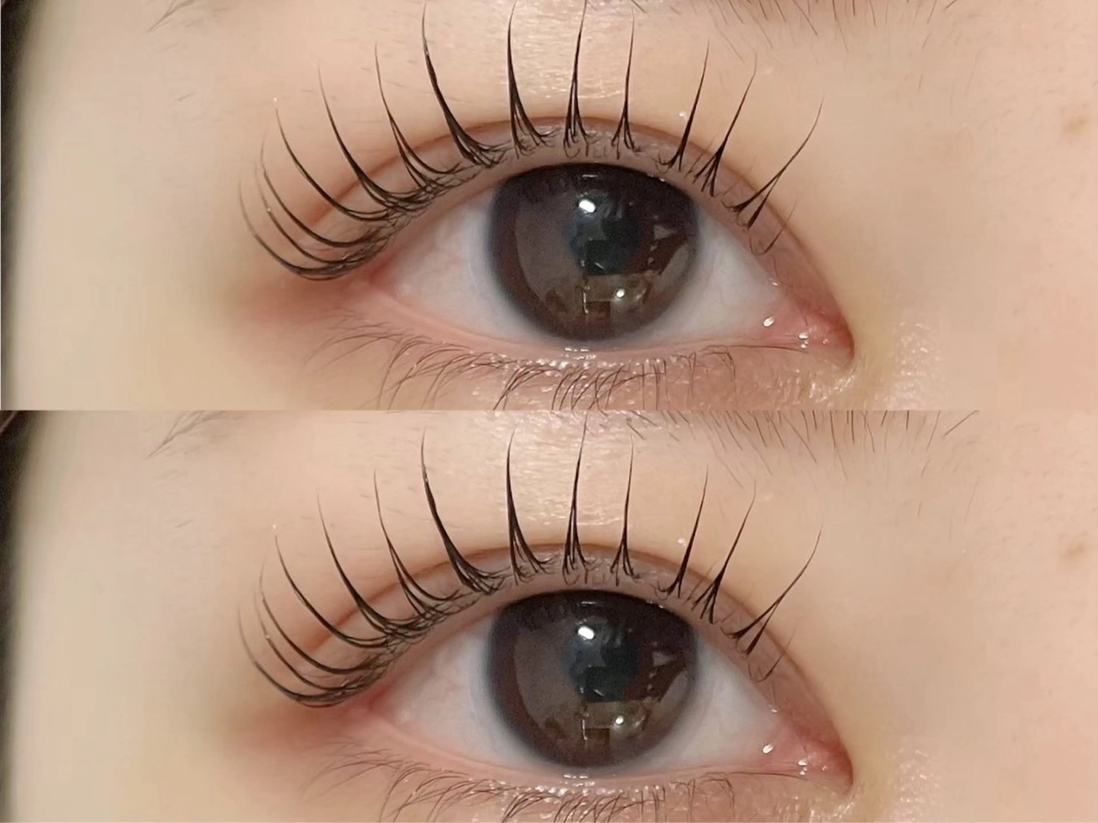 マツエク・マツパ 🪞🩰くるり上野店 對馬🩰🪞のマツエク・マツパデザイン