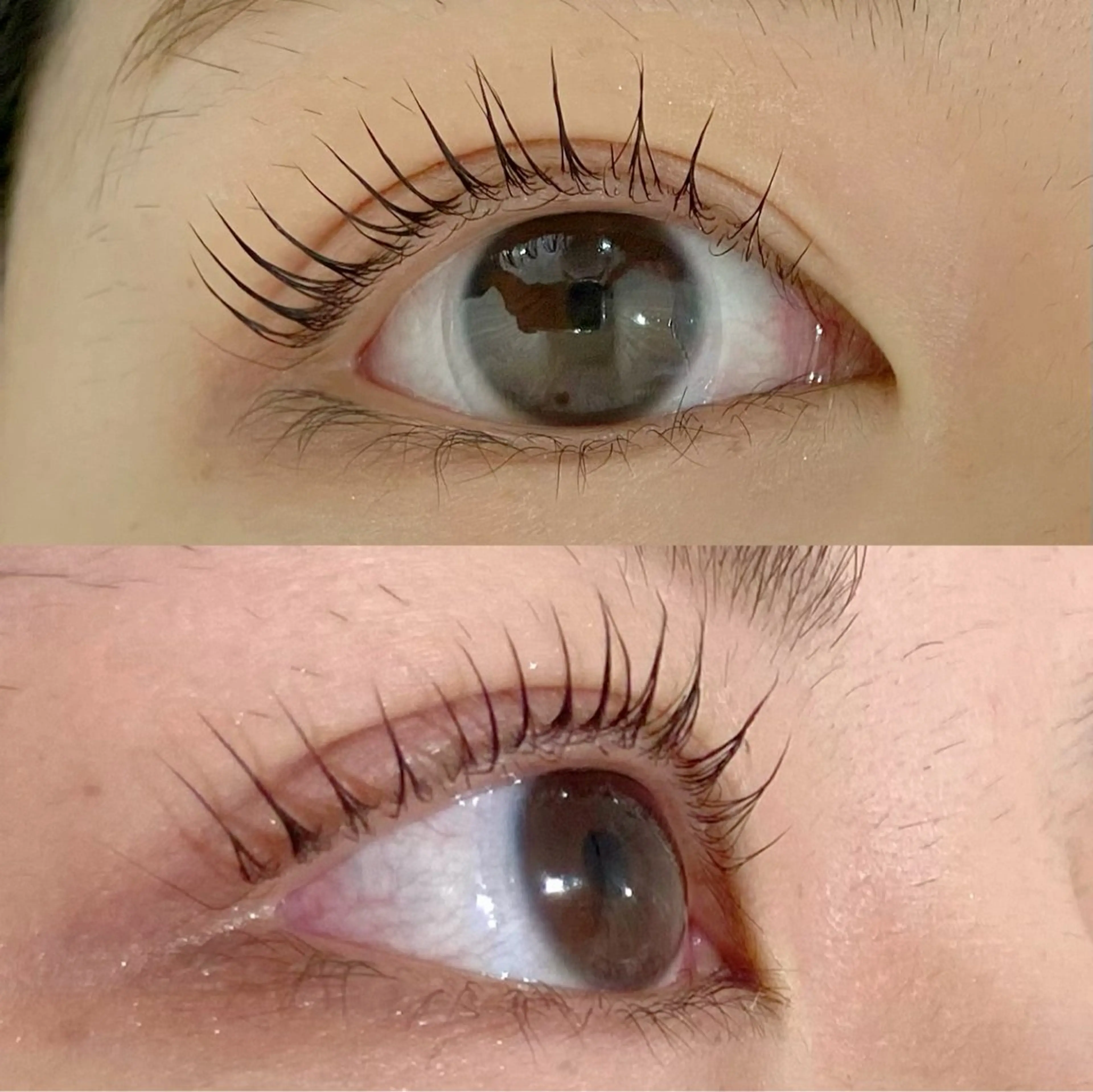 マツエク・マツパ KIMOTO 🐈‍⬛🤍のマツエク・マツパデザイン