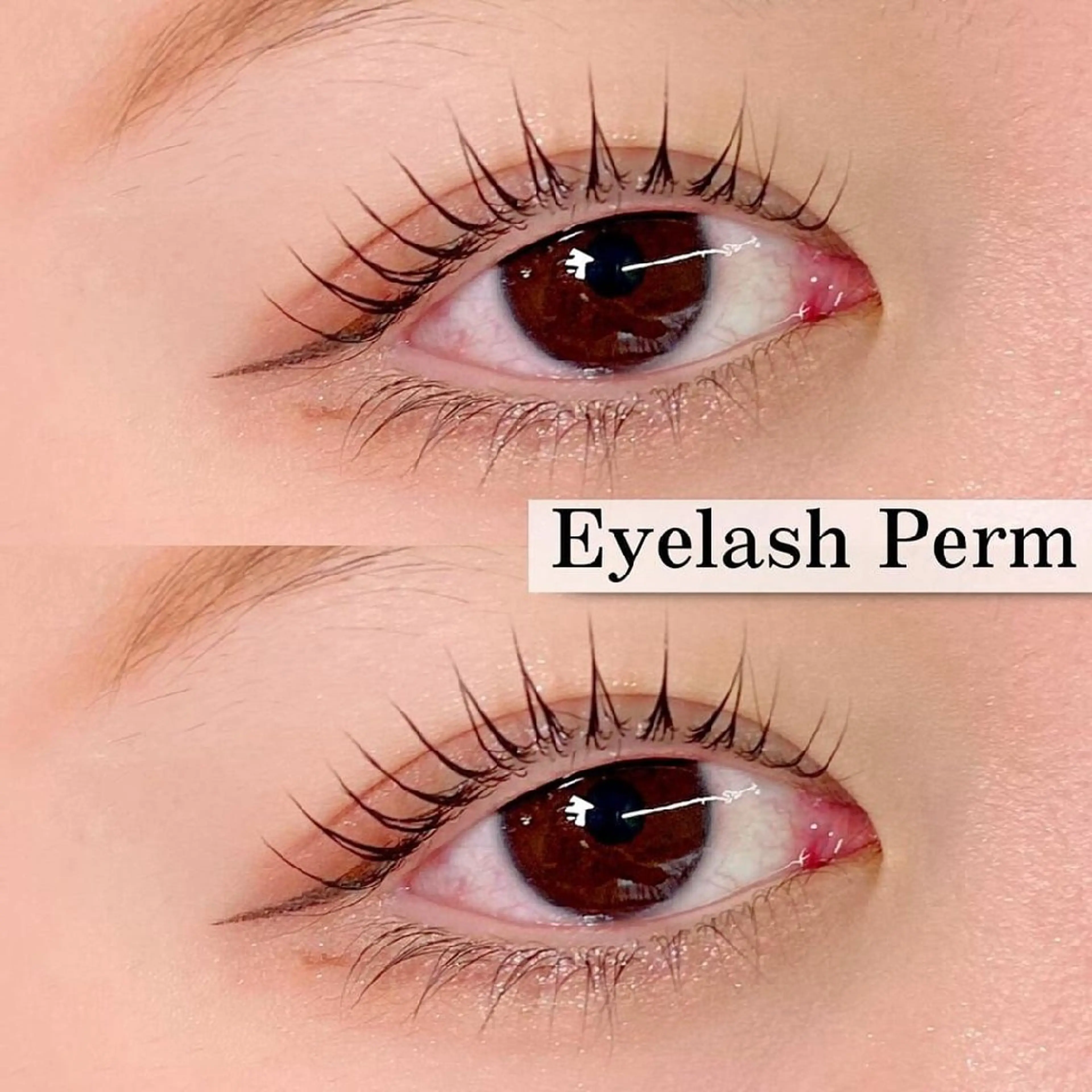 ❣️パリジュンヌラッシュリフト👀✨❣️【韓国風/束感/立ち上げ/長さ】の写真