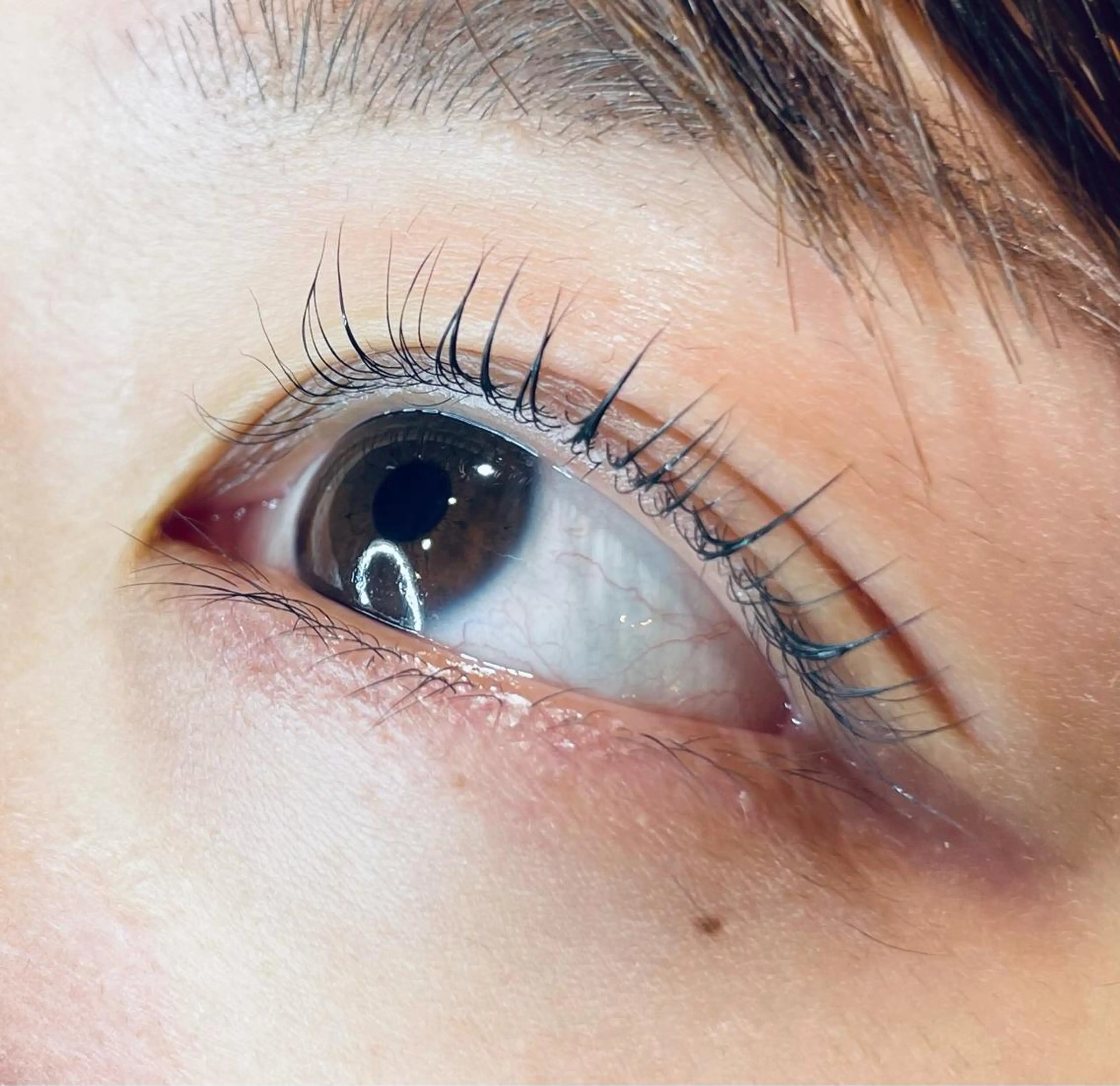 マツエク・マツパ 吉川 舞雪のマツエク・マツパデザイン