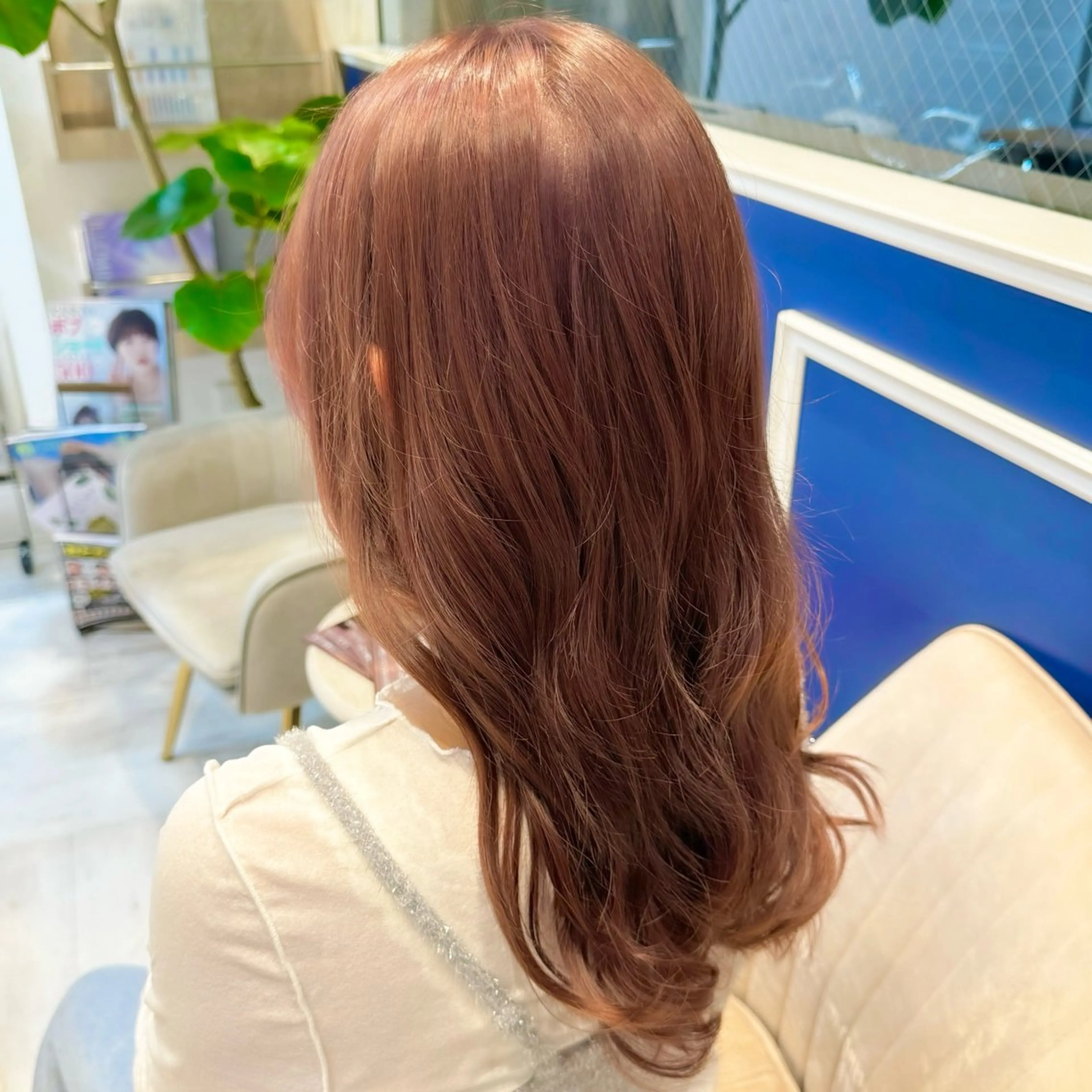 【2回目以降の方🌱】カット＋イルミナカラーの写真