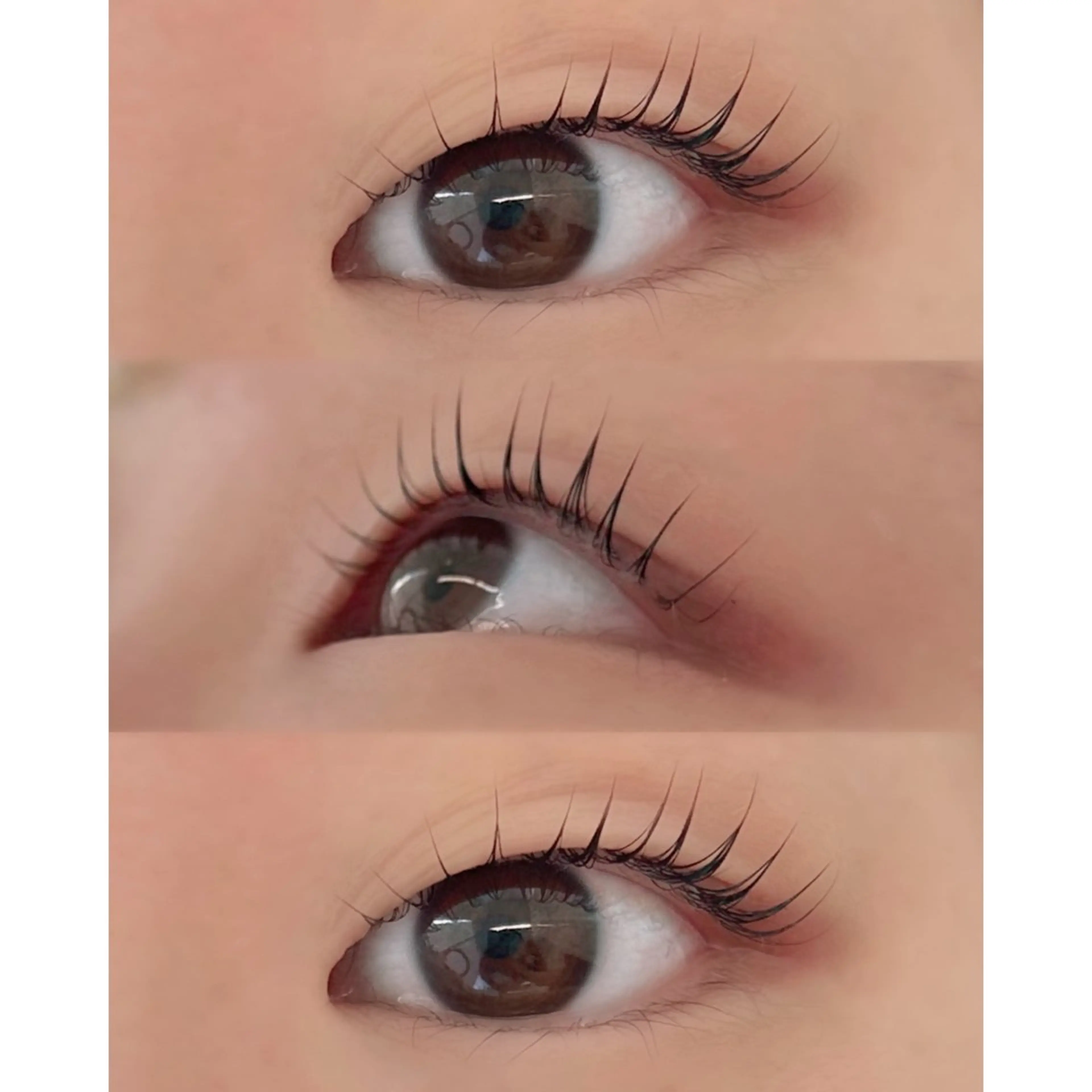 amii大通/マツパ /木村🐻‍❄️のマツエク・マツパデザイン