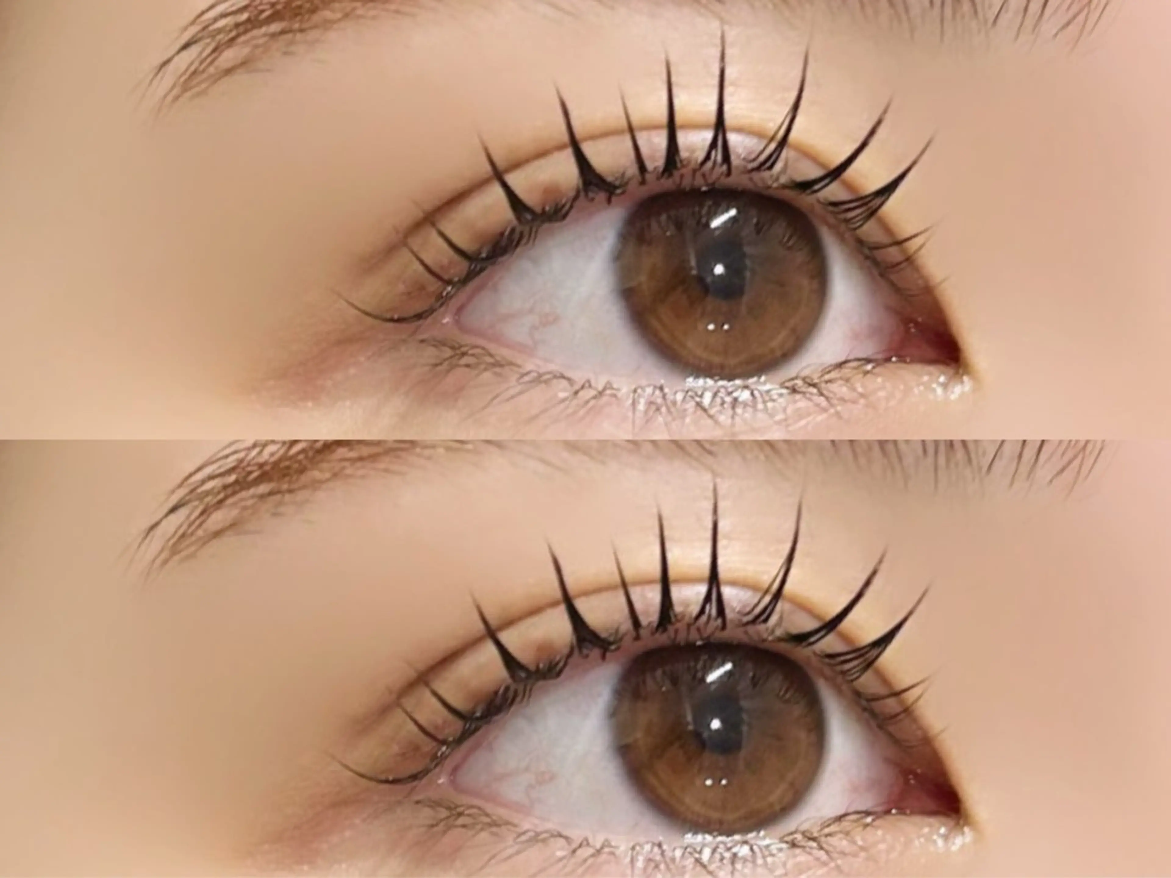 マツエク・マツパ まつげパーマ 一重×まつ毛パーマ 🤍ぱっちり ナチュラルりな🤍のマツエク・マツパデザイン