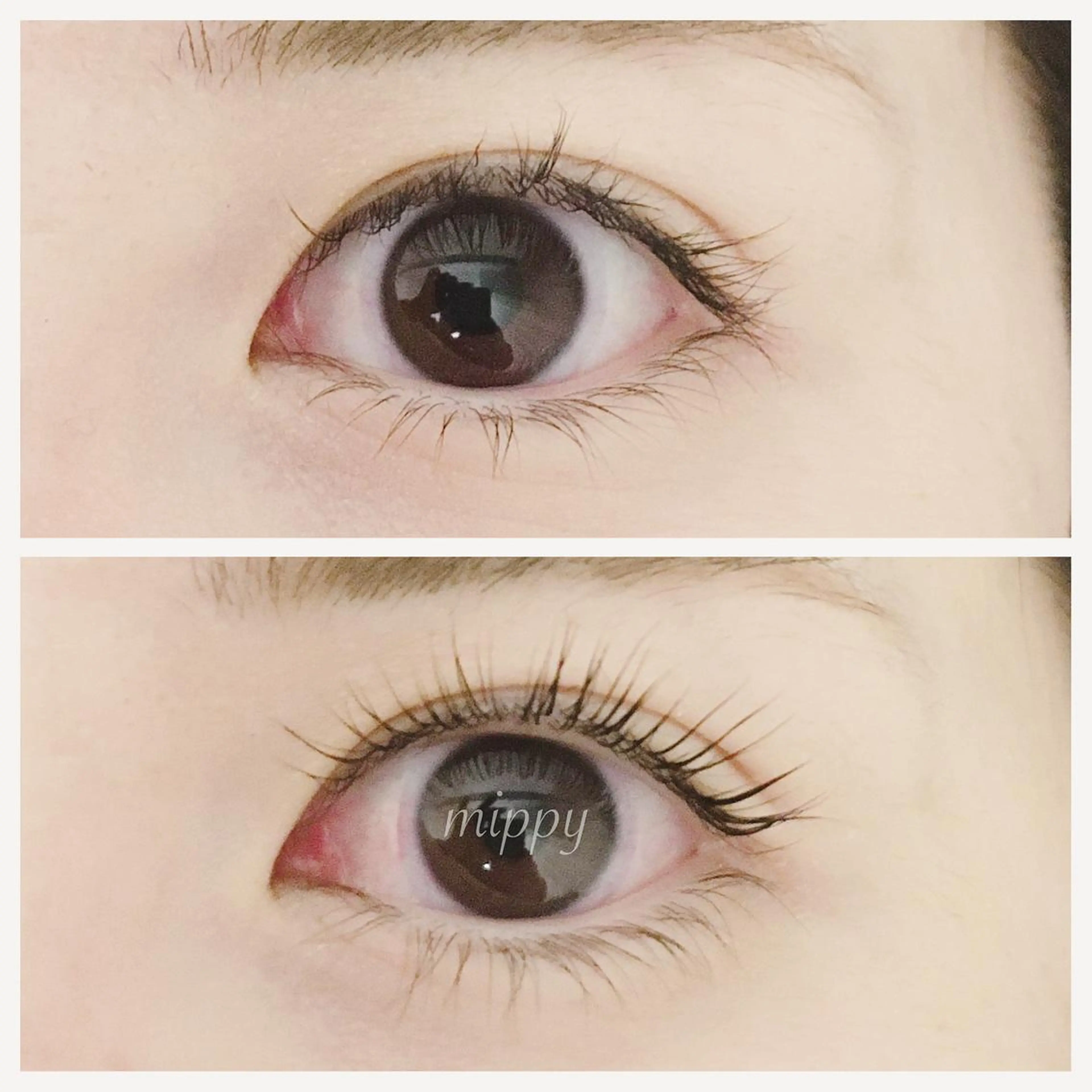 マツエク・マツパ ｍｉｐｐｙ 🪽のマツエク・マツパデザイン