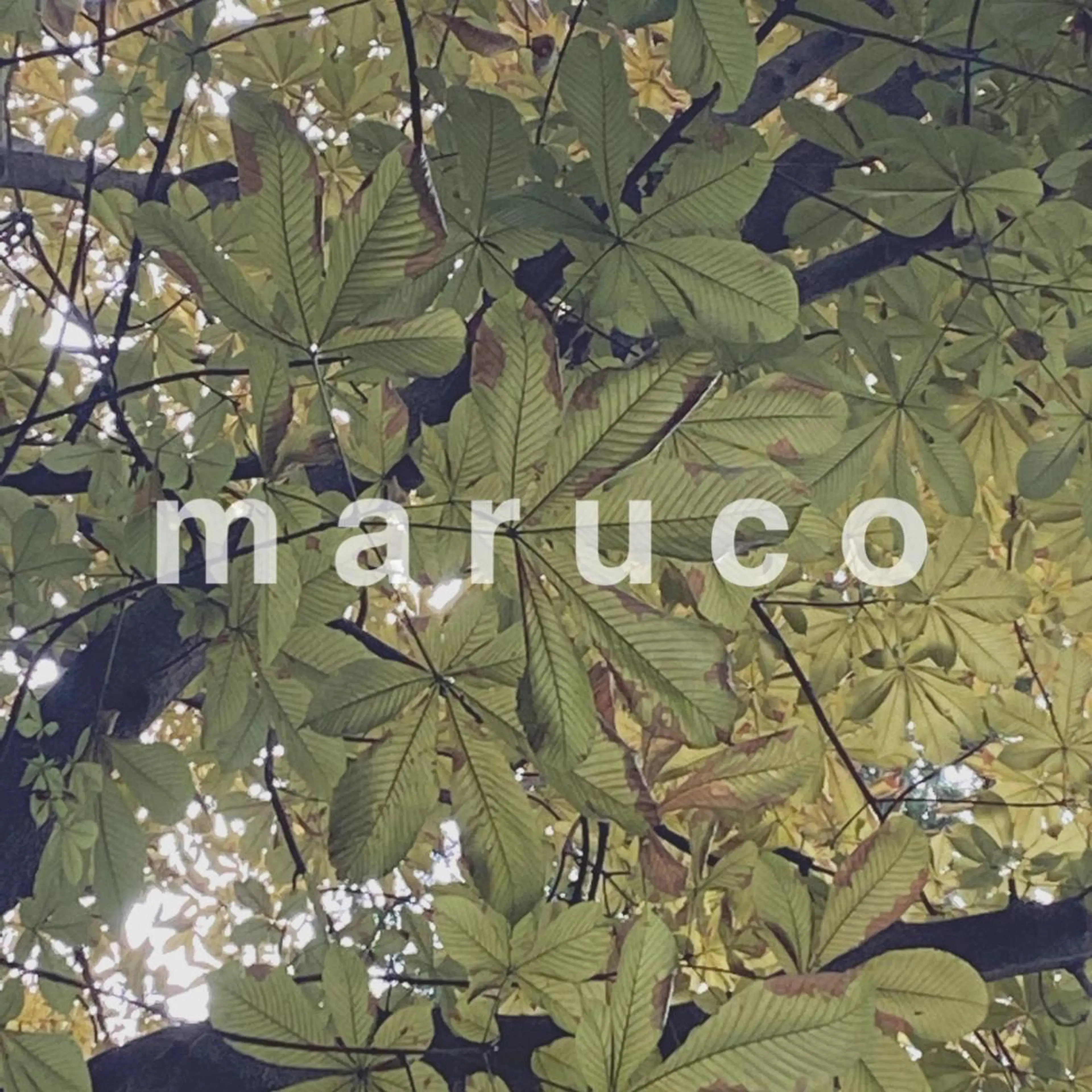 マツエク・マツパ なかむら 🪡のマツエク・マツパデザイン