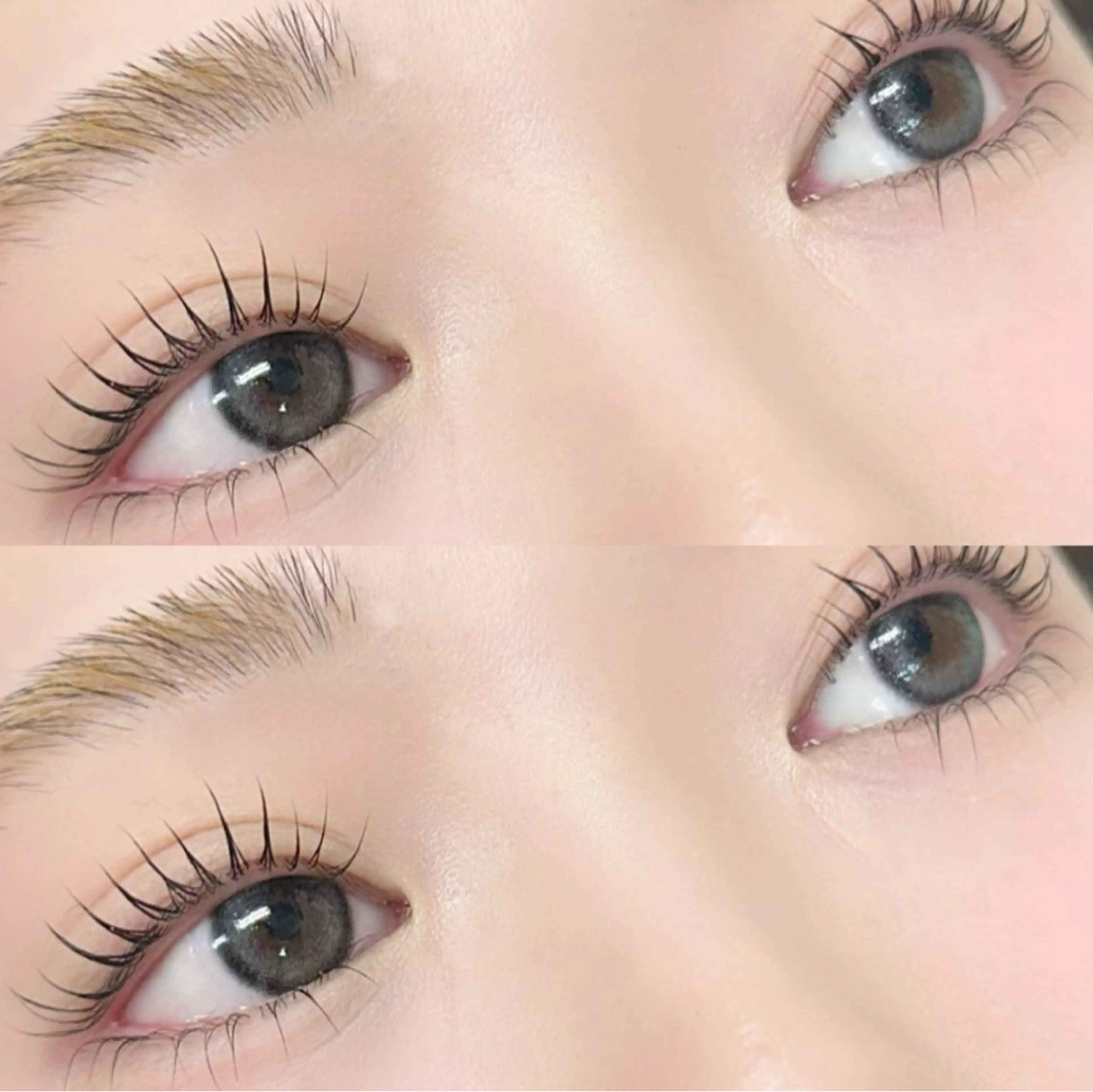 【上まつげパーマ】ナチュラル派・マスカラ派の方におすすめ！［八王子］の写真