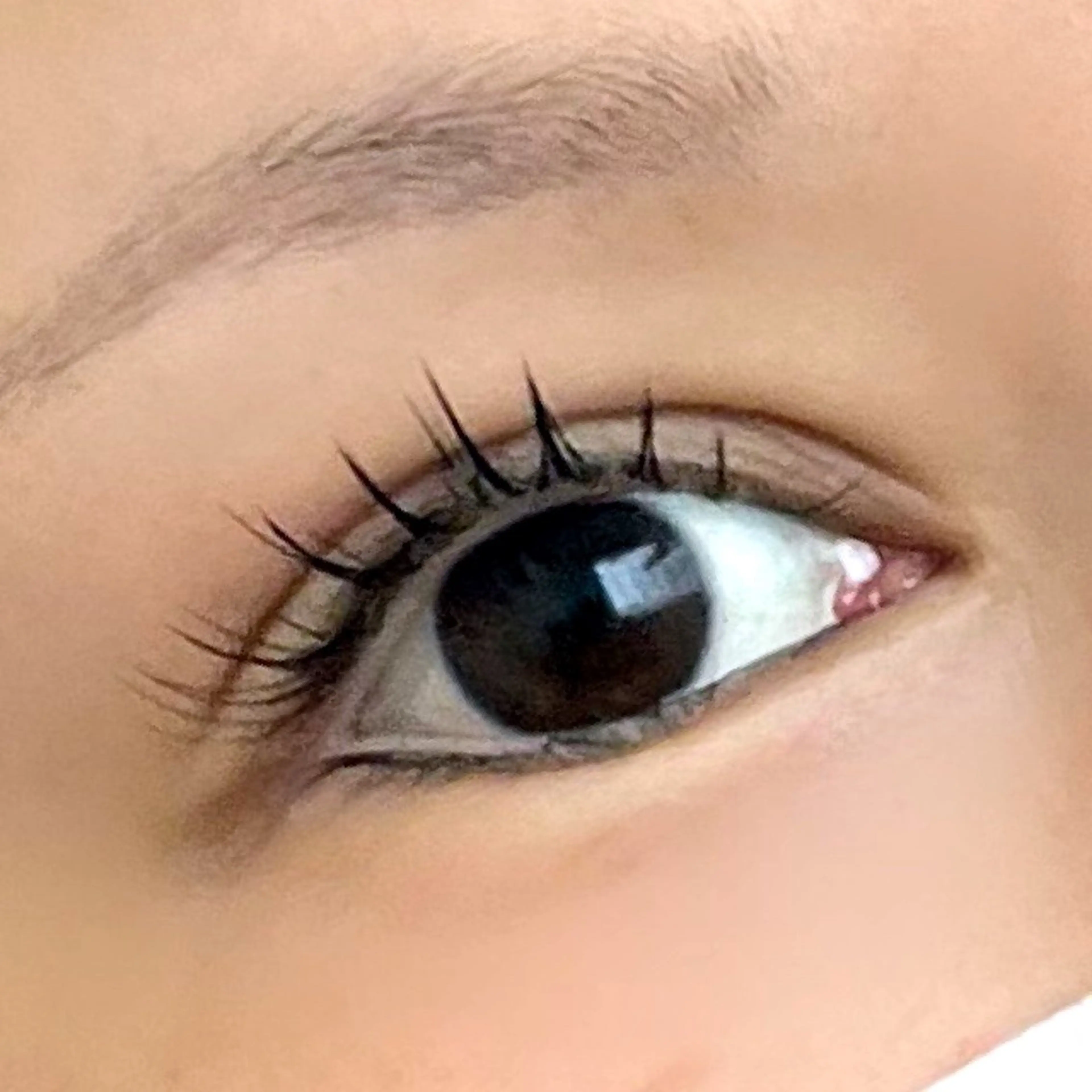 マツエク・マツパ Seary eyelashsalon所属・セアリー アイラッシュサロンの眉毛・アイブロウイメージ