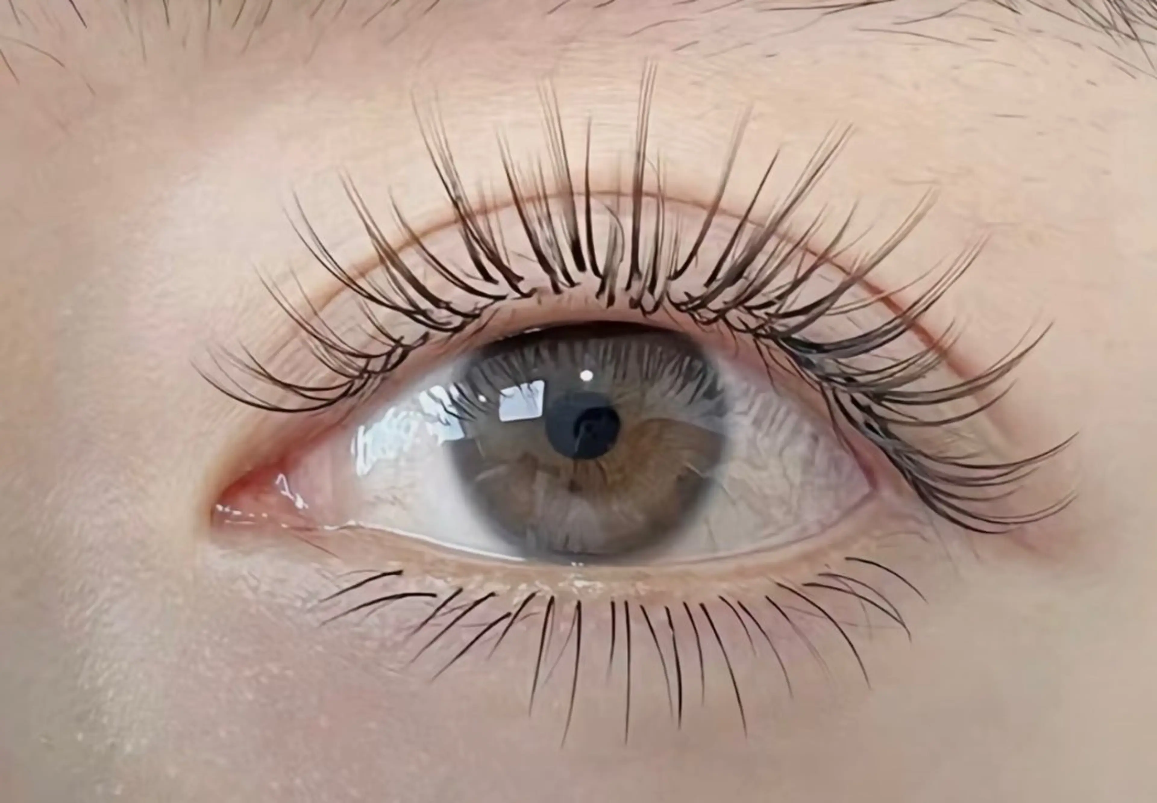 3Dボリュームラッシュ240本🧚‍♂️の写真