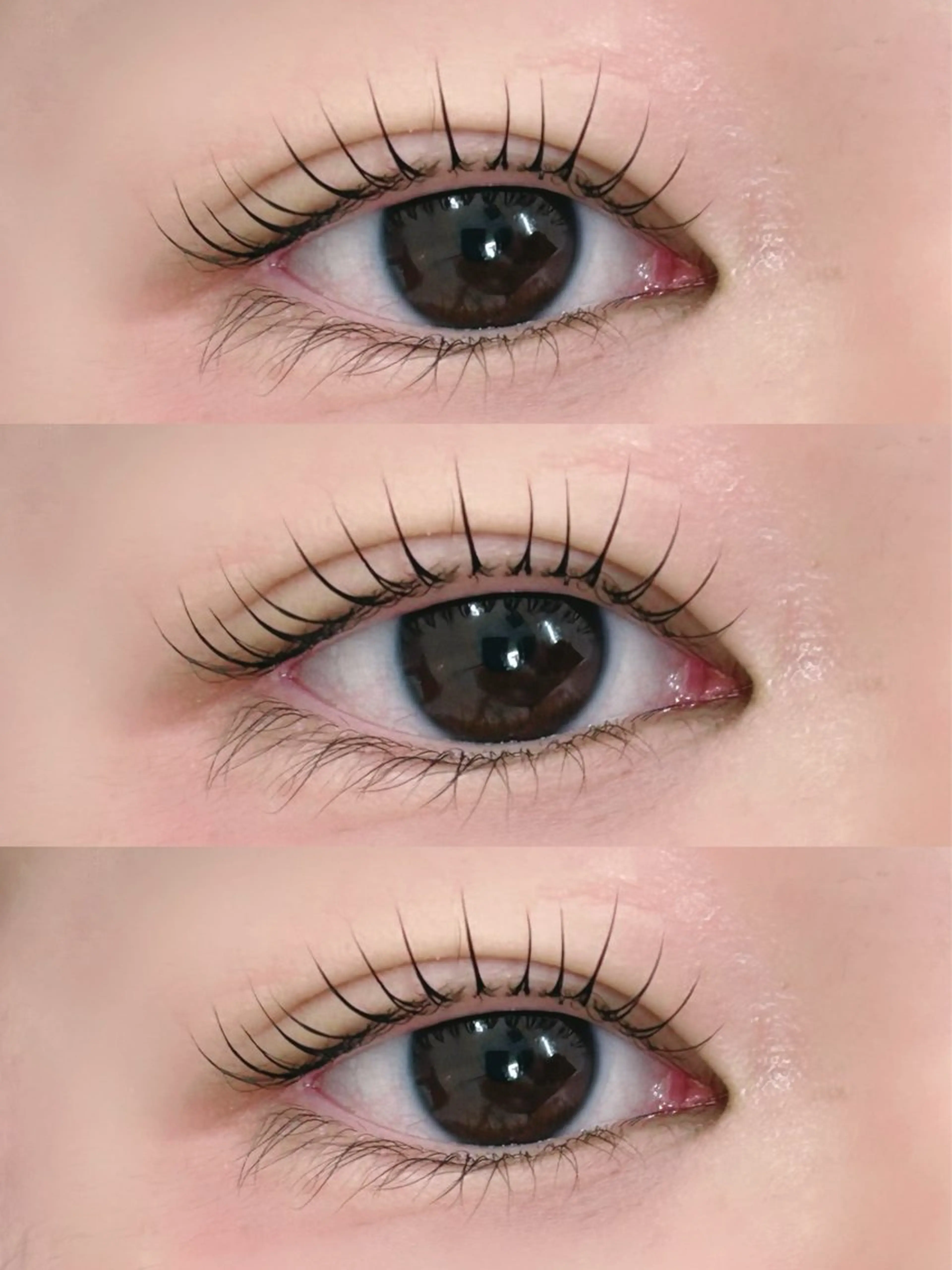 当日限定！まつげパーマ¥5500の写真
