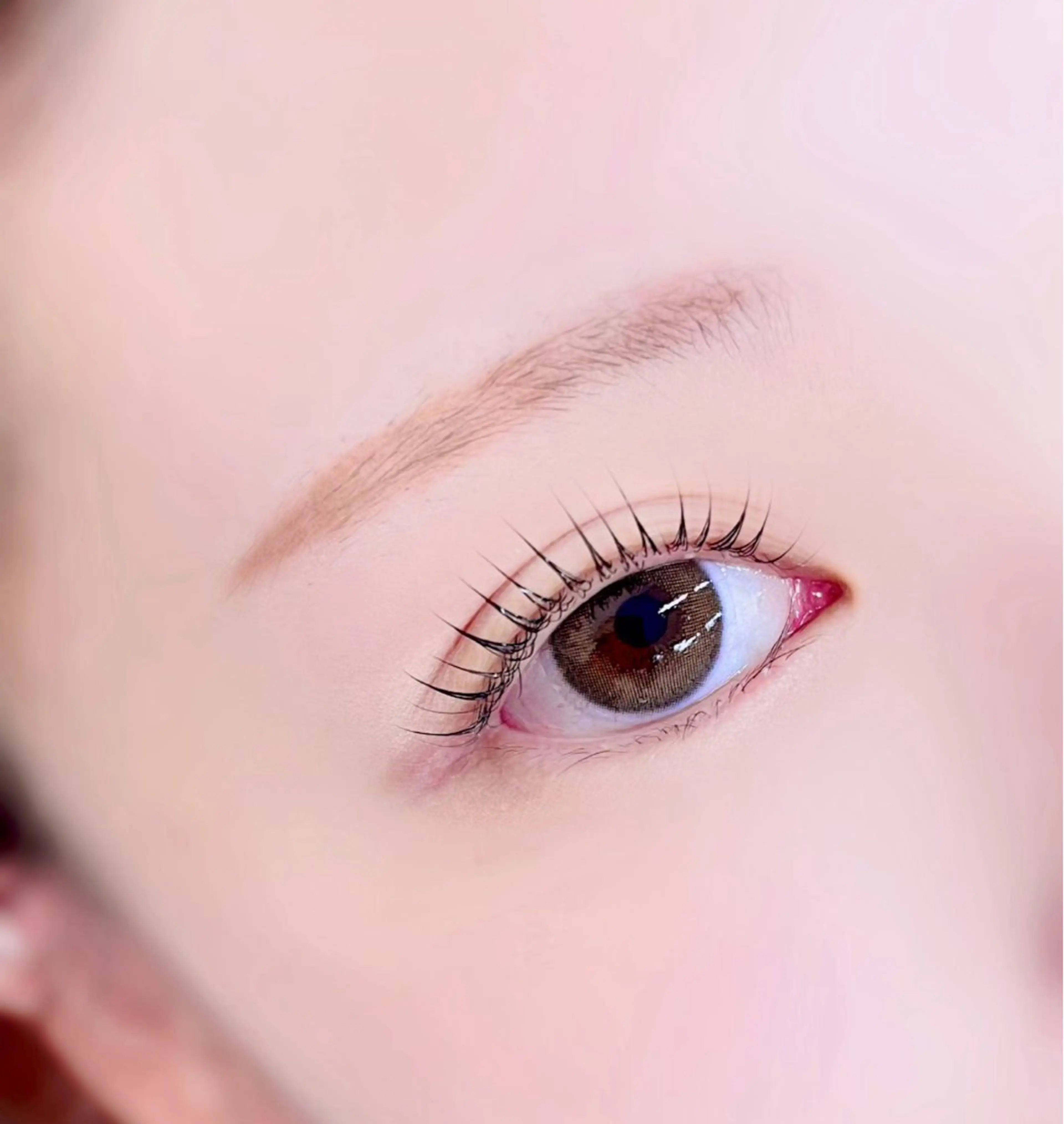 マツエク・マツパ パリジェンヌラッシュリフト 中山 メアリの眉毛・アイブロウイメージ