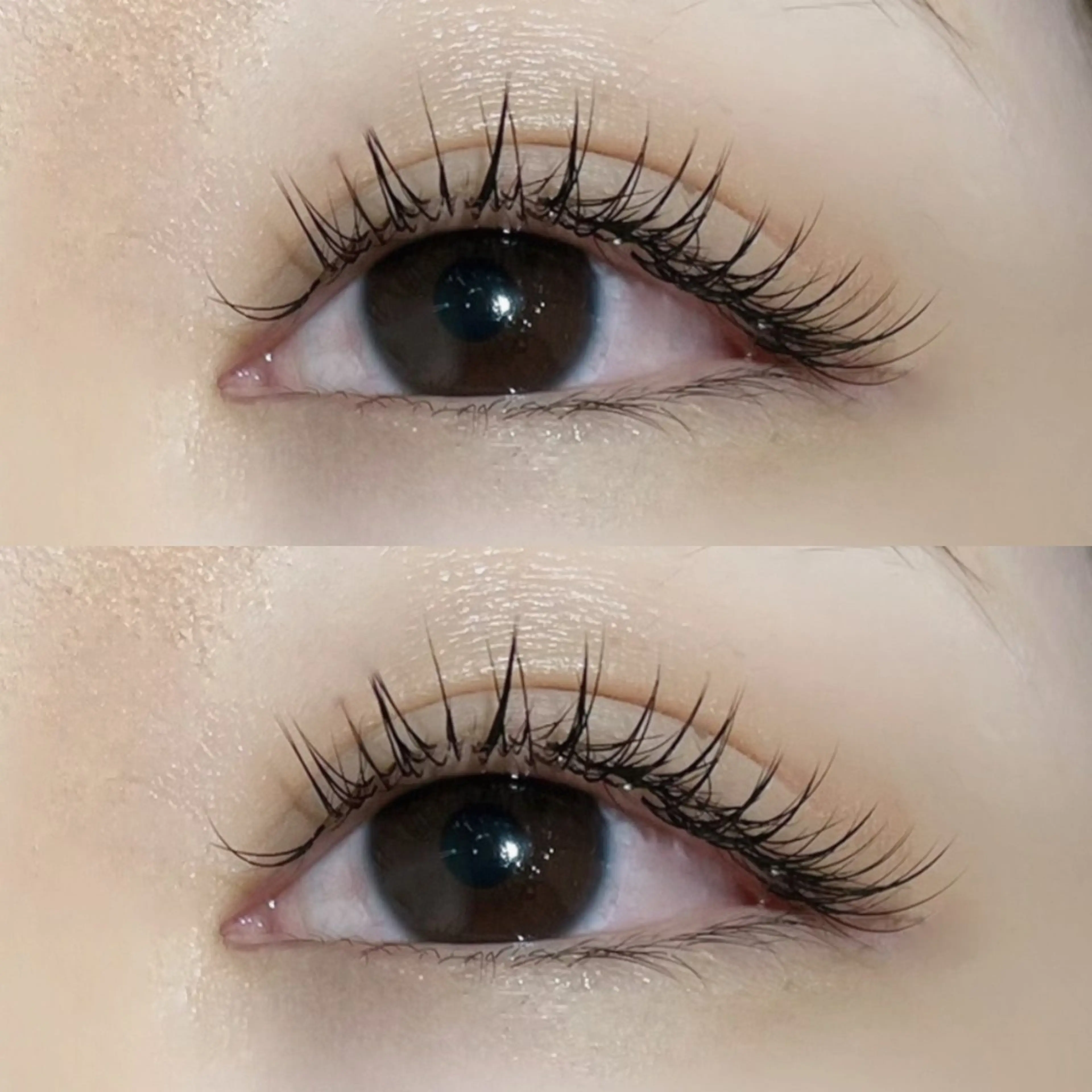 マツエク・マツパ LA CLARTÉ所属・【LaCLARTE】 京橋各線駅ﾁｶ🩶のマツエク・マツパデザイン