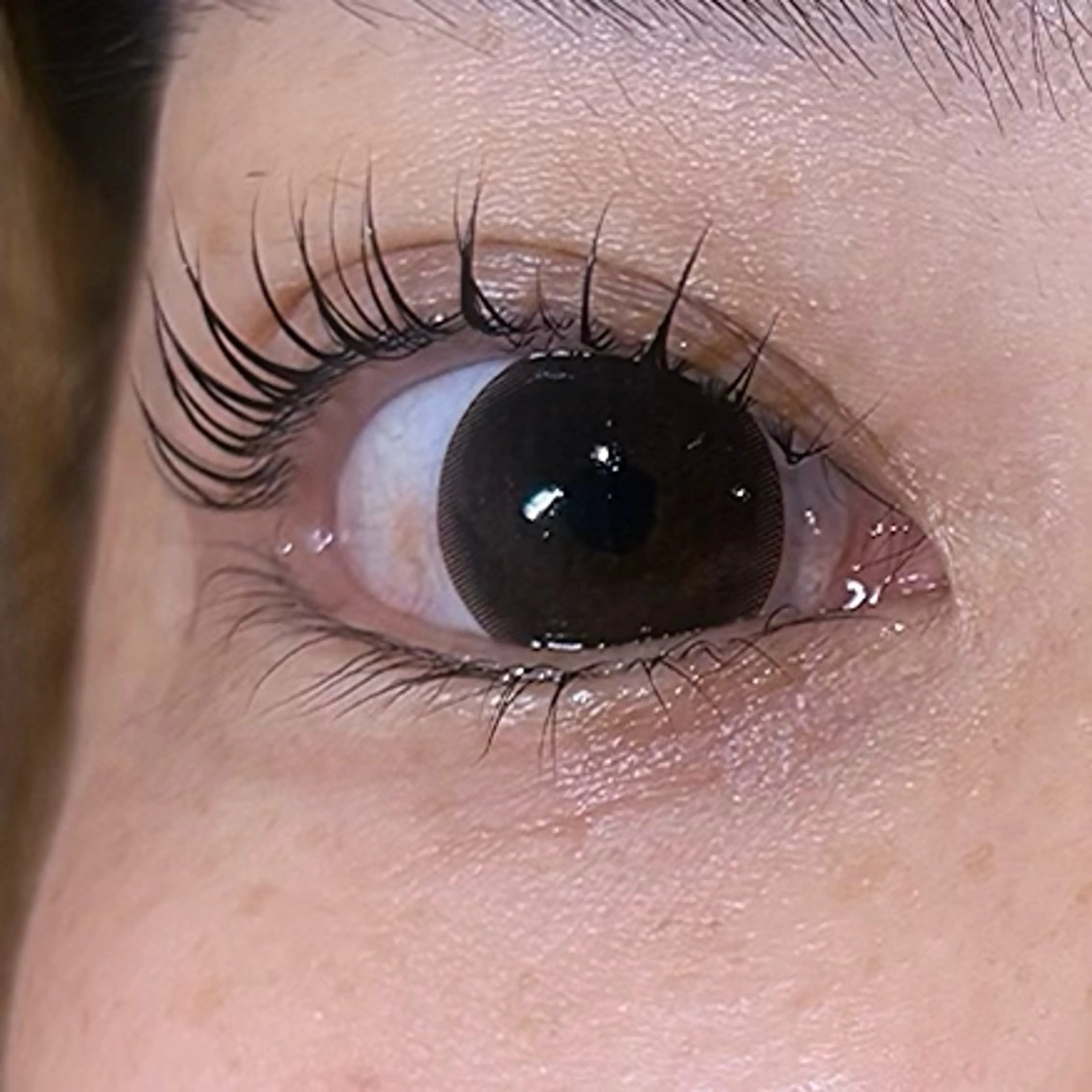 マツエク・マツパ ココラッシュ matsumotoのマツエク・マツパデザイン