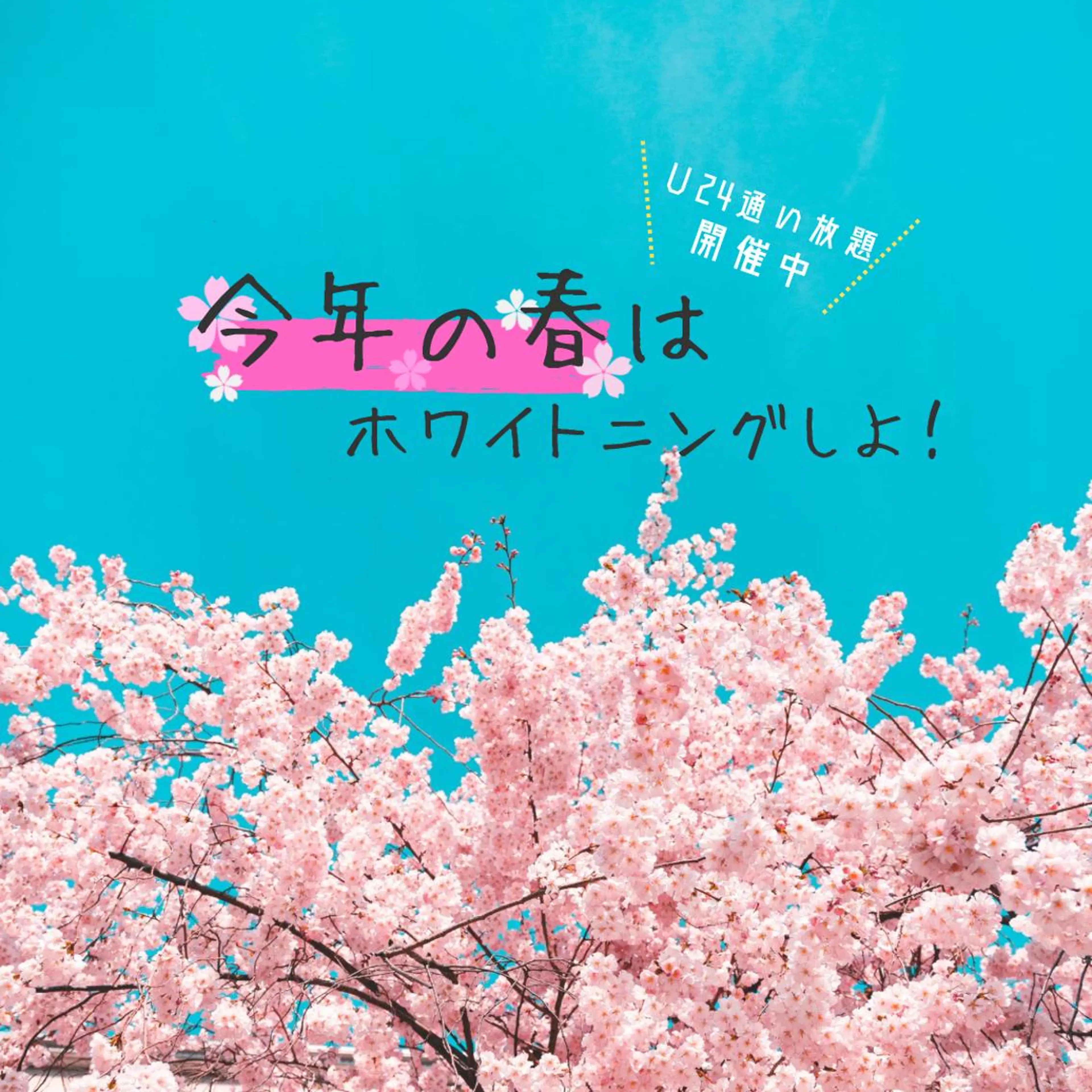 歯のホワイトニング HARU南浦和のその他イメージ