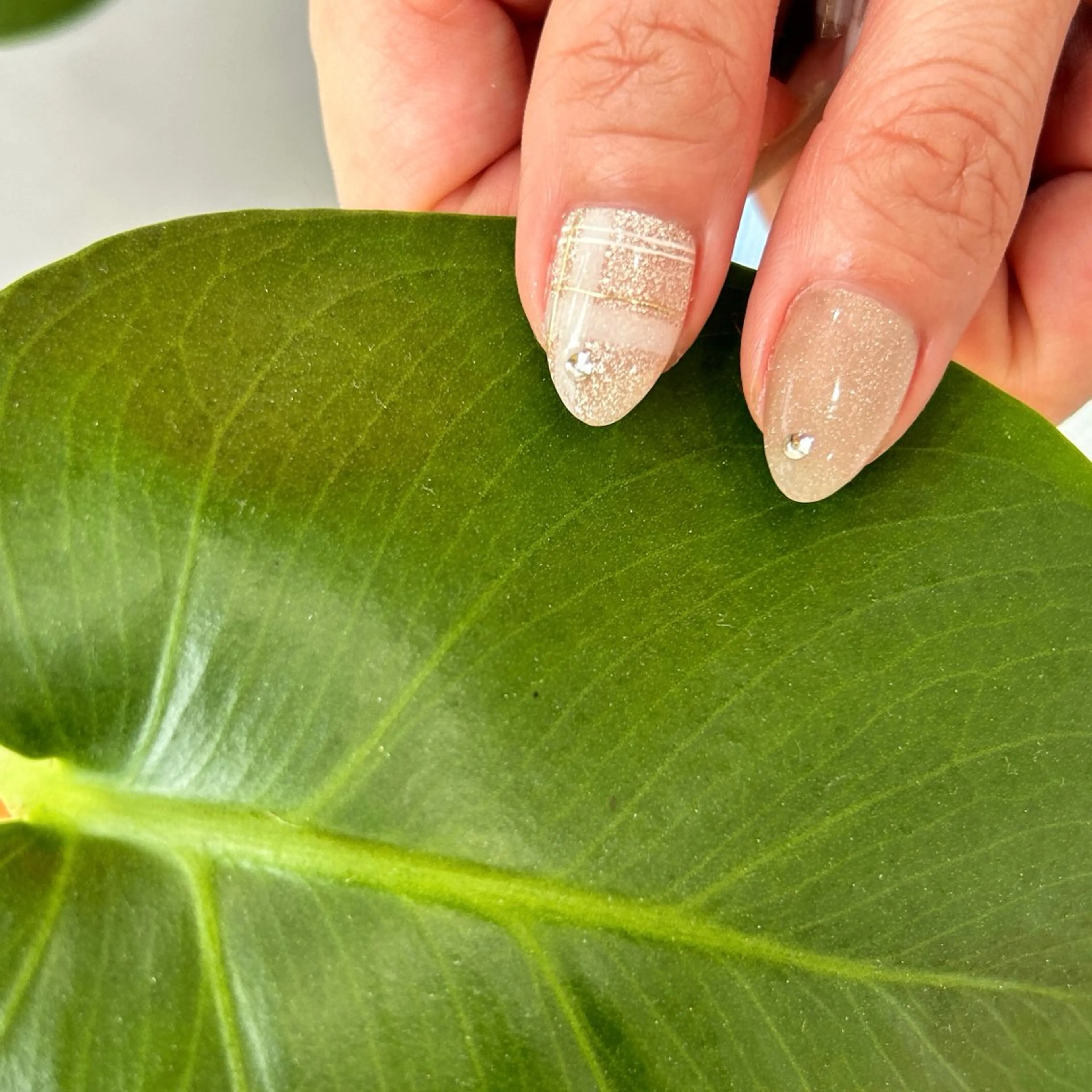 ネイル ネイルサロン 北野坂のネイルデザイン