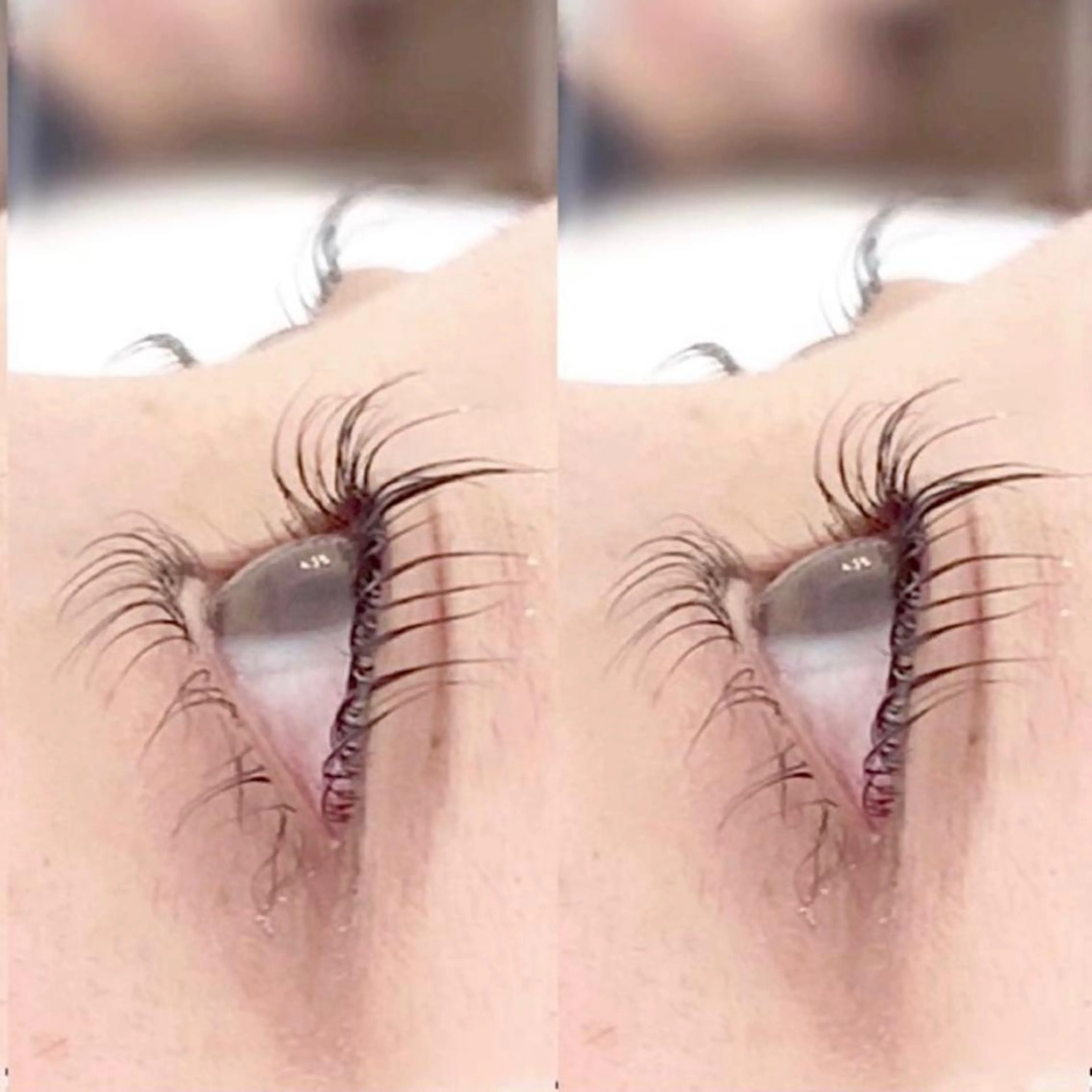 マツエク・マツパ 𝙈𝙊𝙔𝙐🎀 韓国風/束感まつ毛のマツエク・マツパデザイン