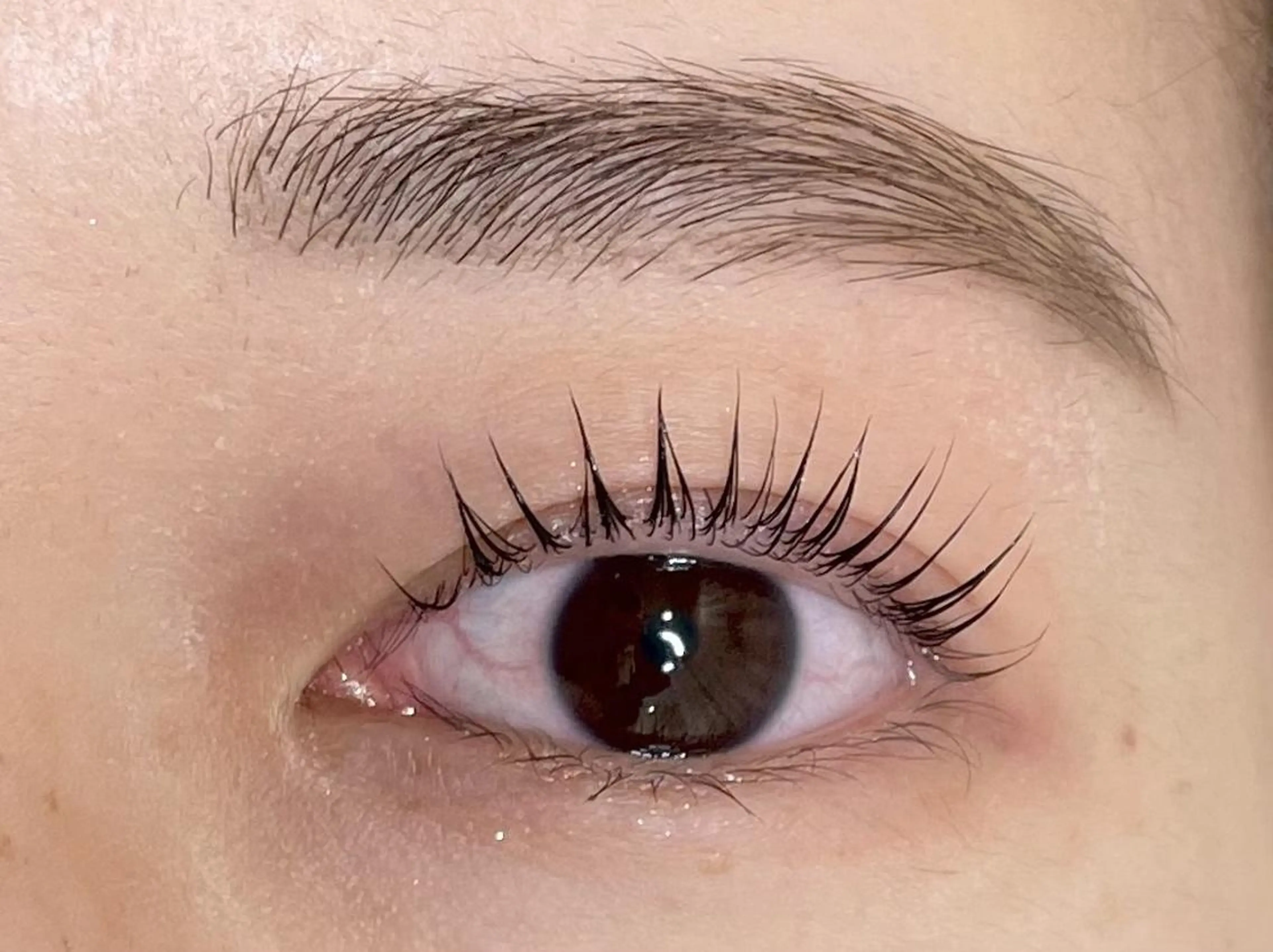 マツエク・マツパ マツパ Ravicils【ラヴィシル】所属・宮永あゆ まつパ/美眉/恵比寿のマツエク・マツパデザイン