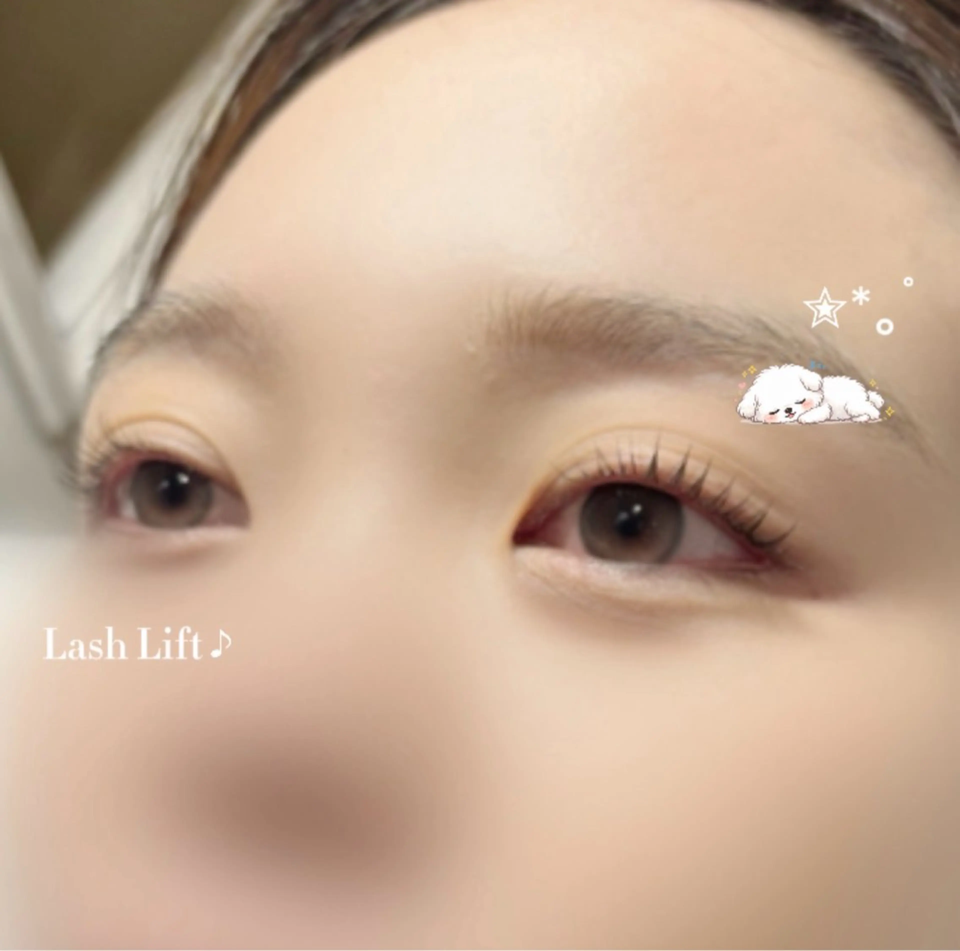 マツエク・マツパ マツパ silk🐶 Ayaneのマツエク・マツパデザイン