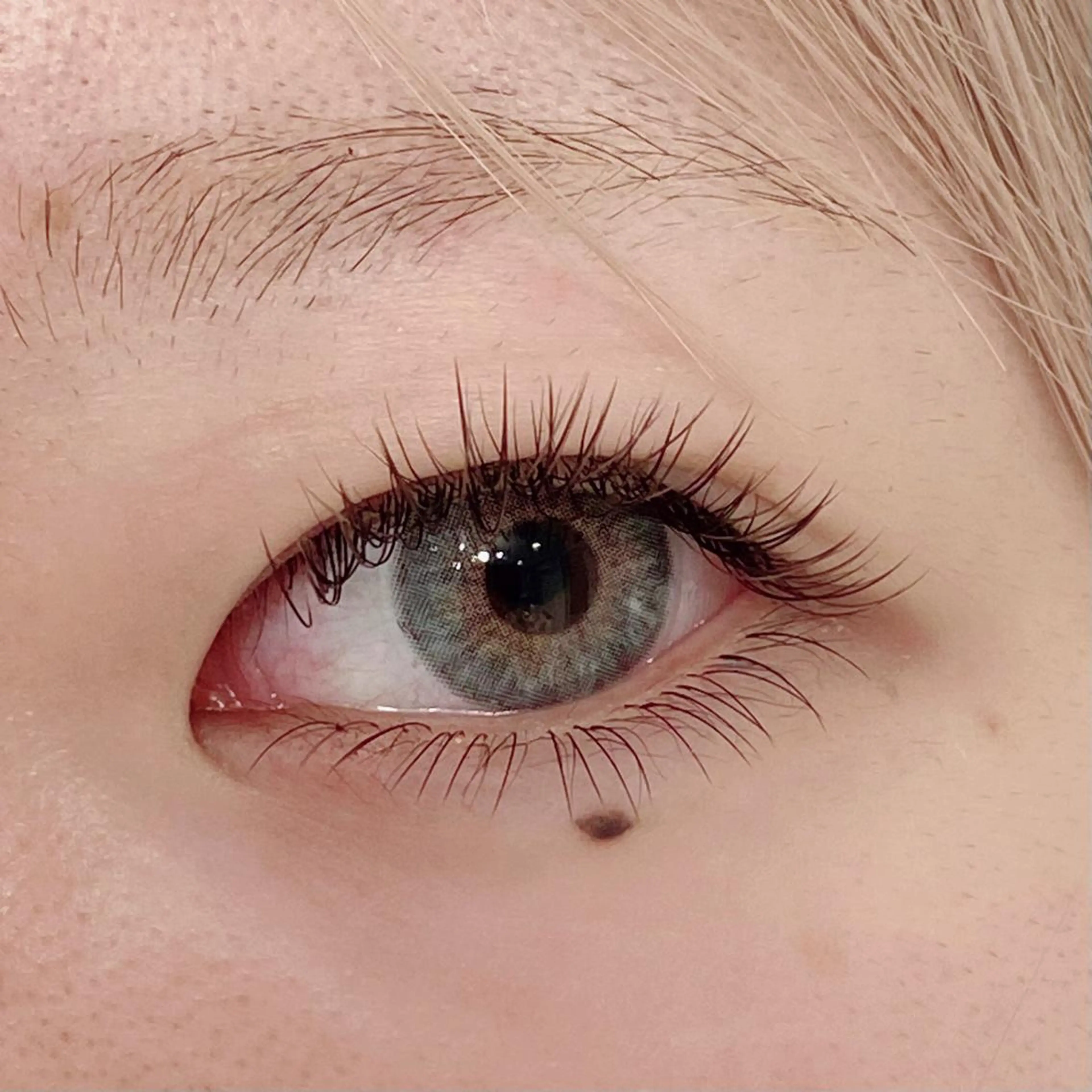 マツエク・マツパ マツエク 🌙Rina 🌙のマツエク・マツパデザイン