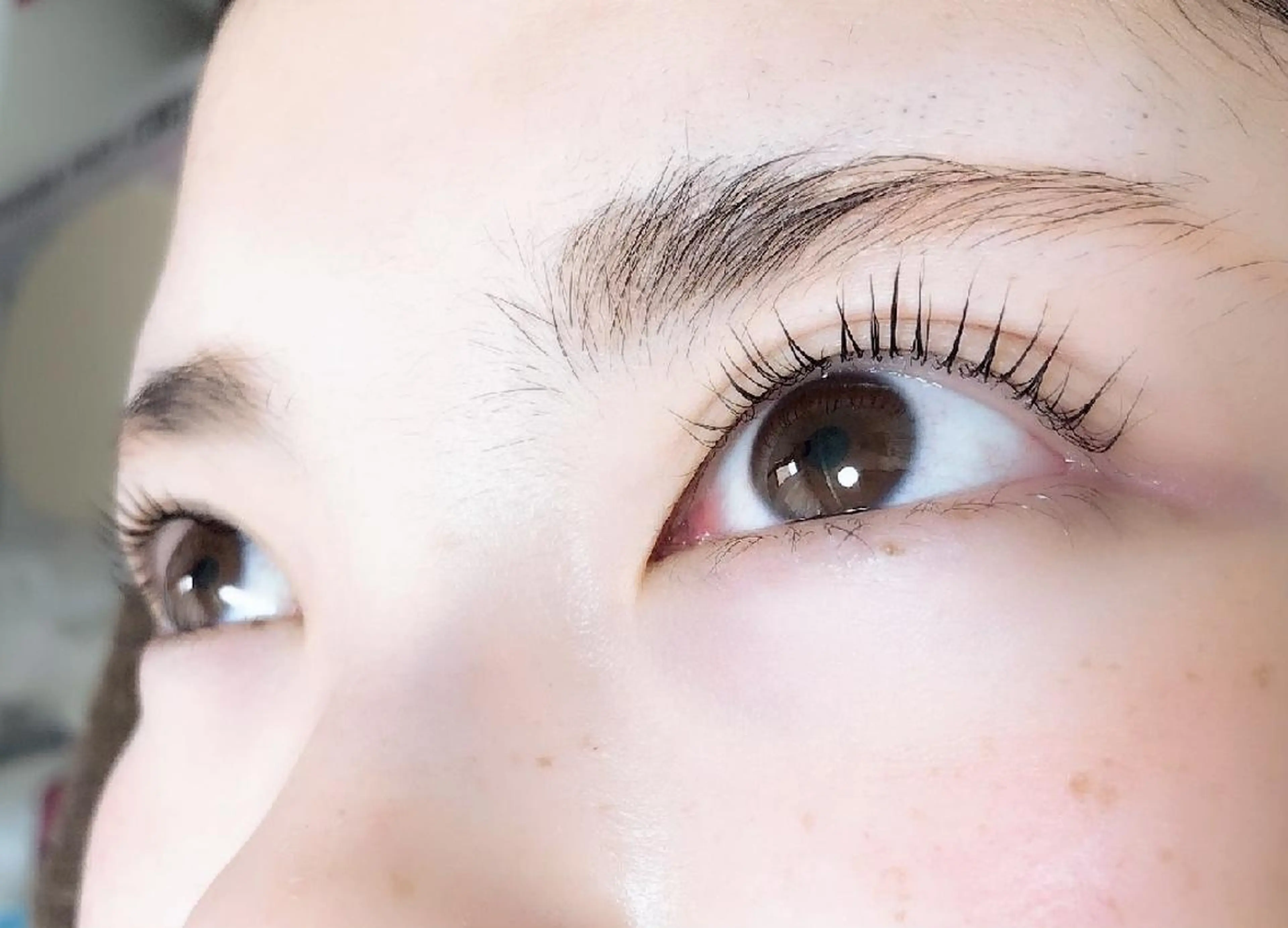 マツエク・マツパ 付け放題 フラットラッシュ ナチュラル まつげパーマ 下まつげエクステ マツパ 吉岡 ゆうなのマツエク・マツパデザイン