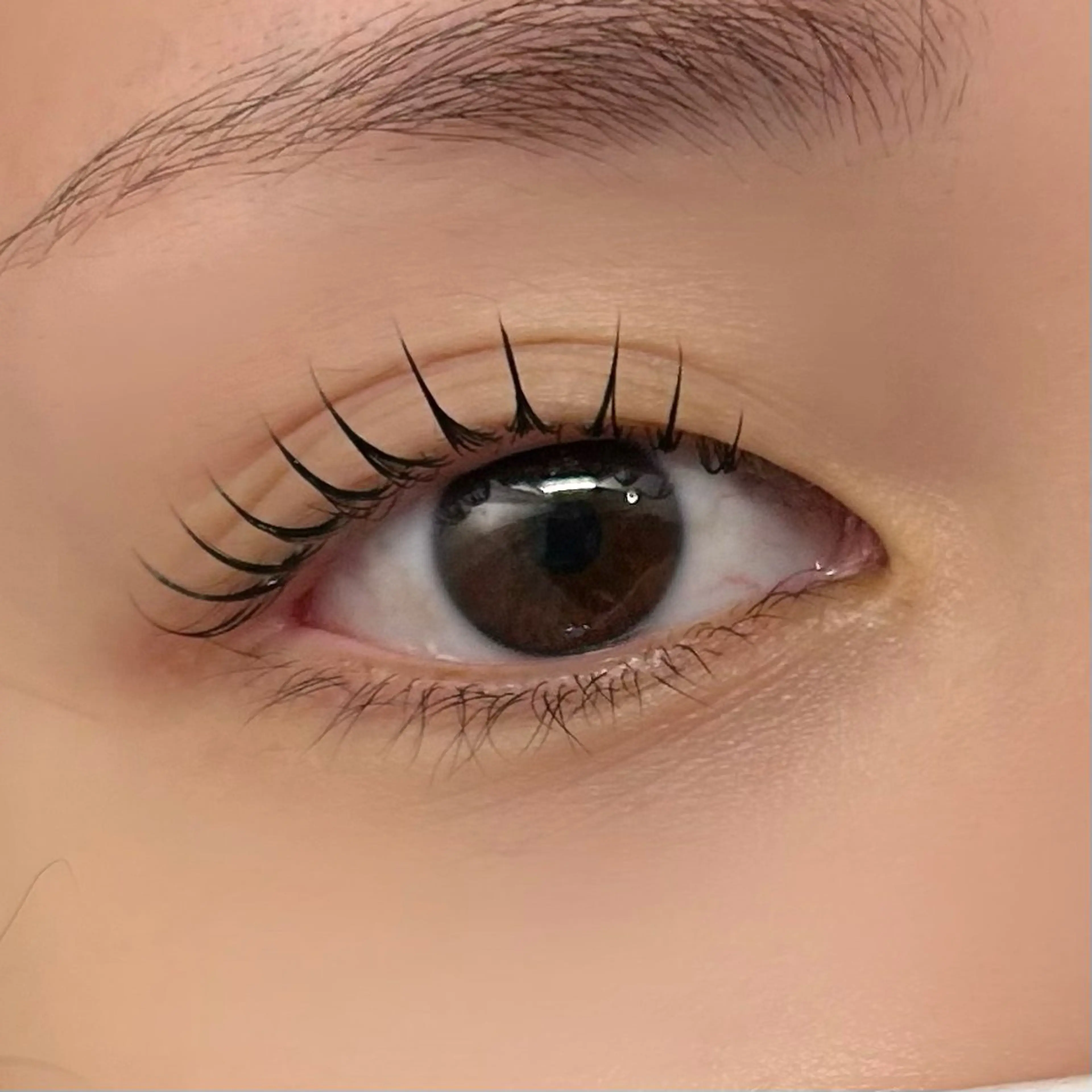 まつ毛パーマ✖️眉毛WAXの写真