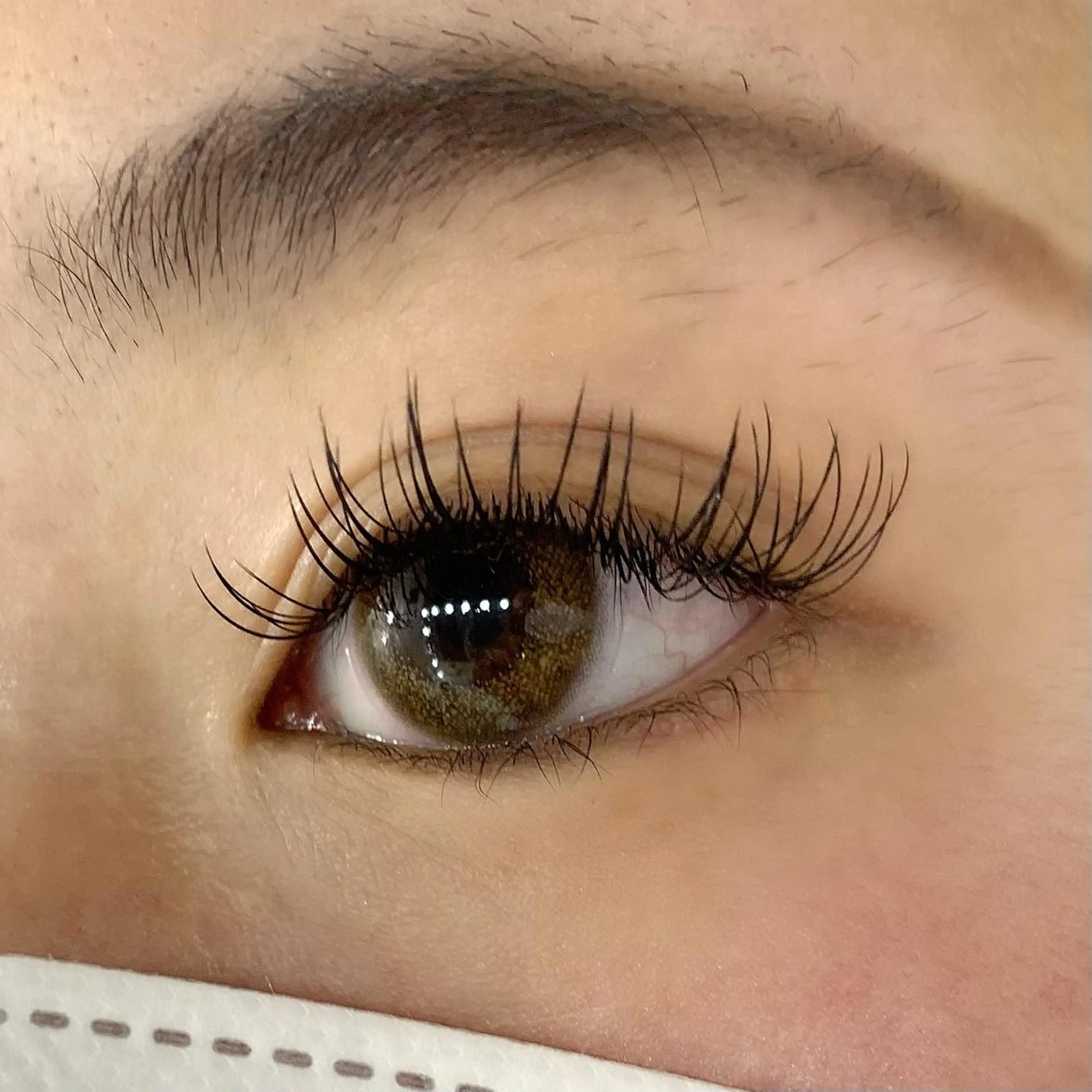 マツエク・マツパ フラットラッシュ マツエク 🧸Celeste Venusのマツエク・マツパデザイン